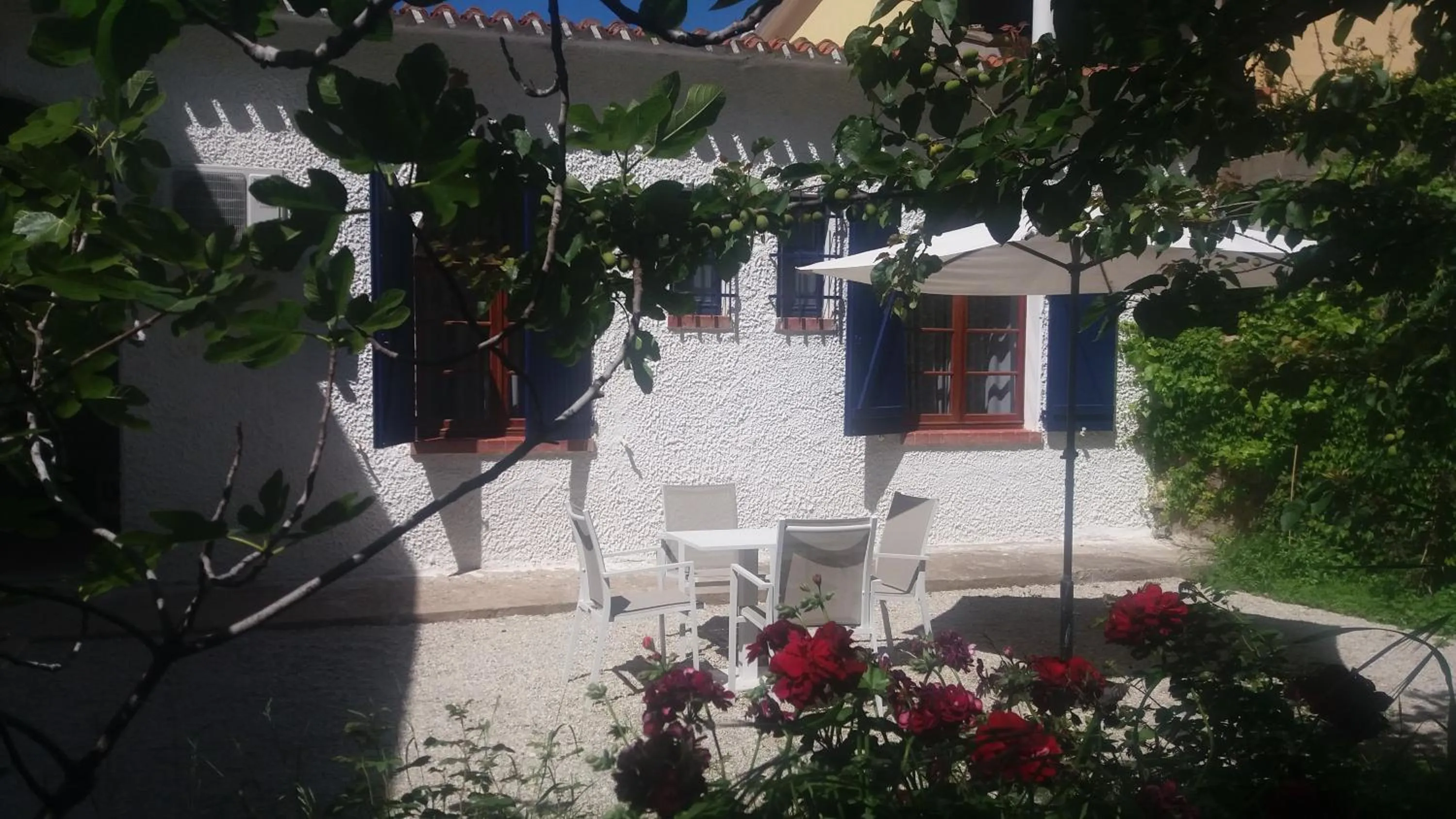 Garden in Hotel Meli