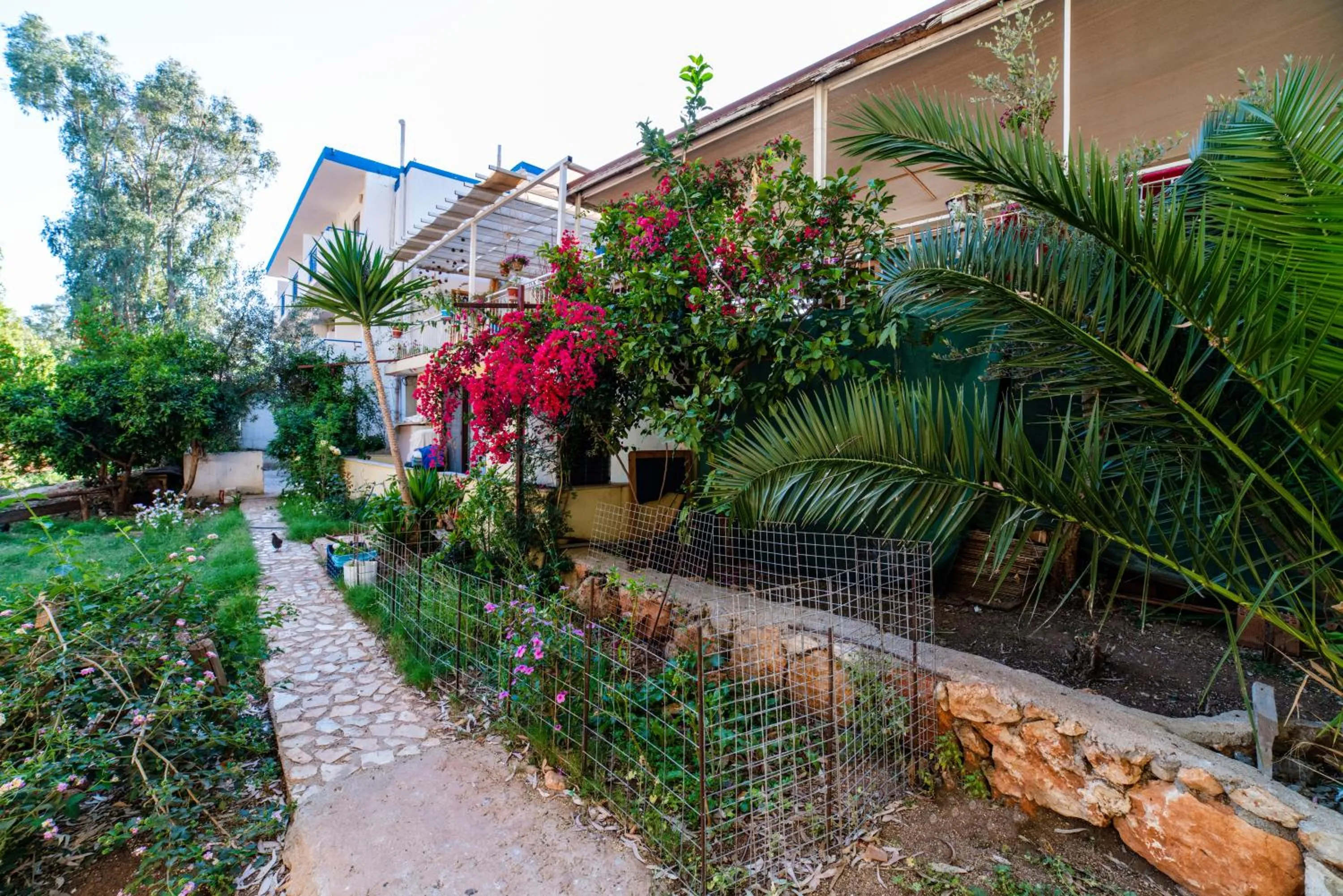 Eucalyptus Pension
