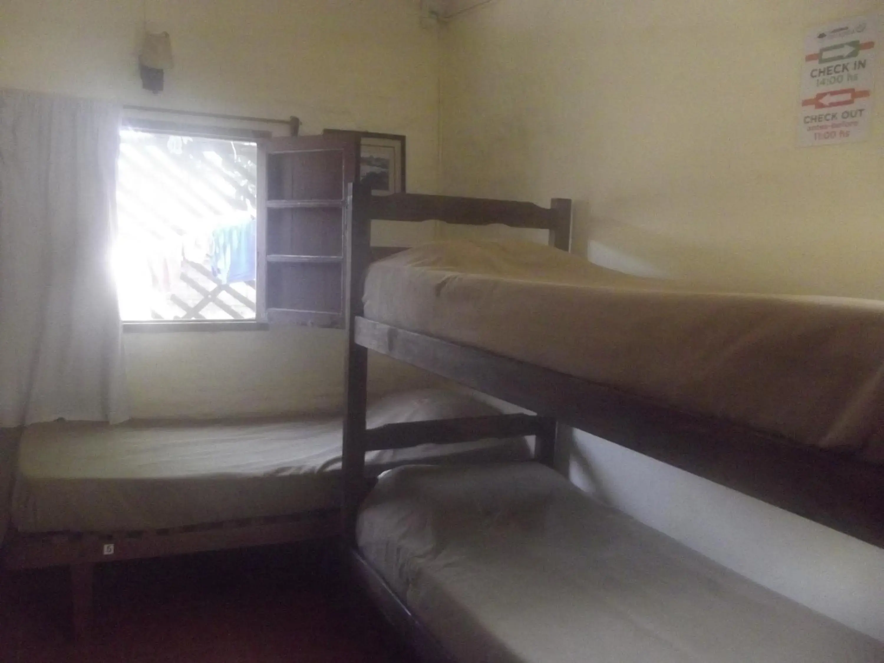 Single Bed in Female Dormitory Room in Hostel Ibirapita Single Bed in Female Dormitory Room in Hostel Ibirapita