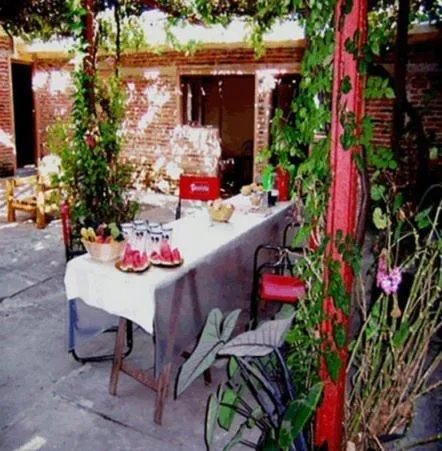 Garden in Hostel Ibirapita