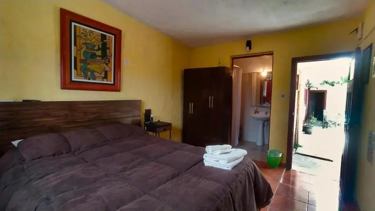 Double Room - single occupancy in Hostel Ibirapita Double Room - single occupancy in Hostel Ibirapita