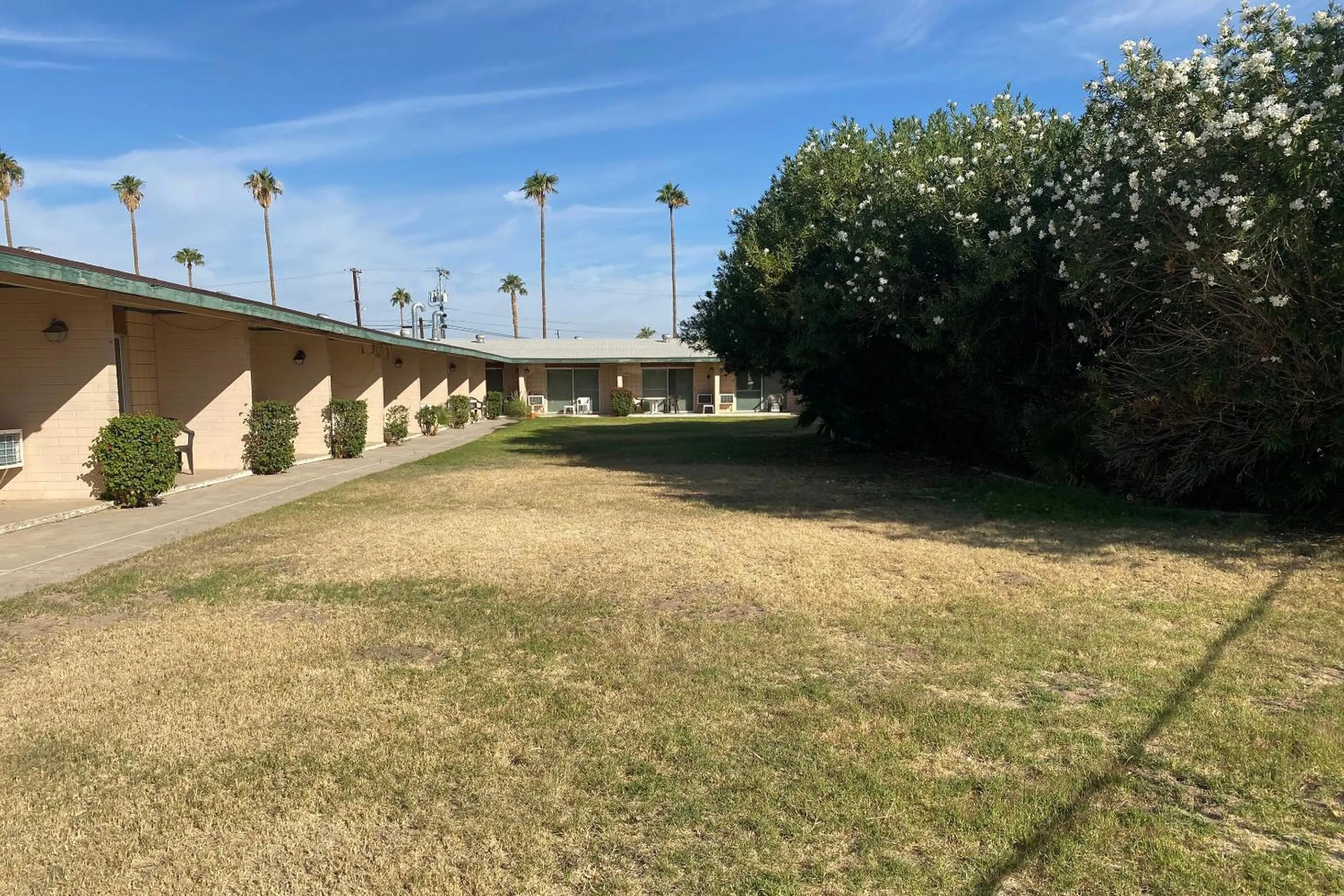 Garden in OYO Hotel Yuma AZ Desert Grove