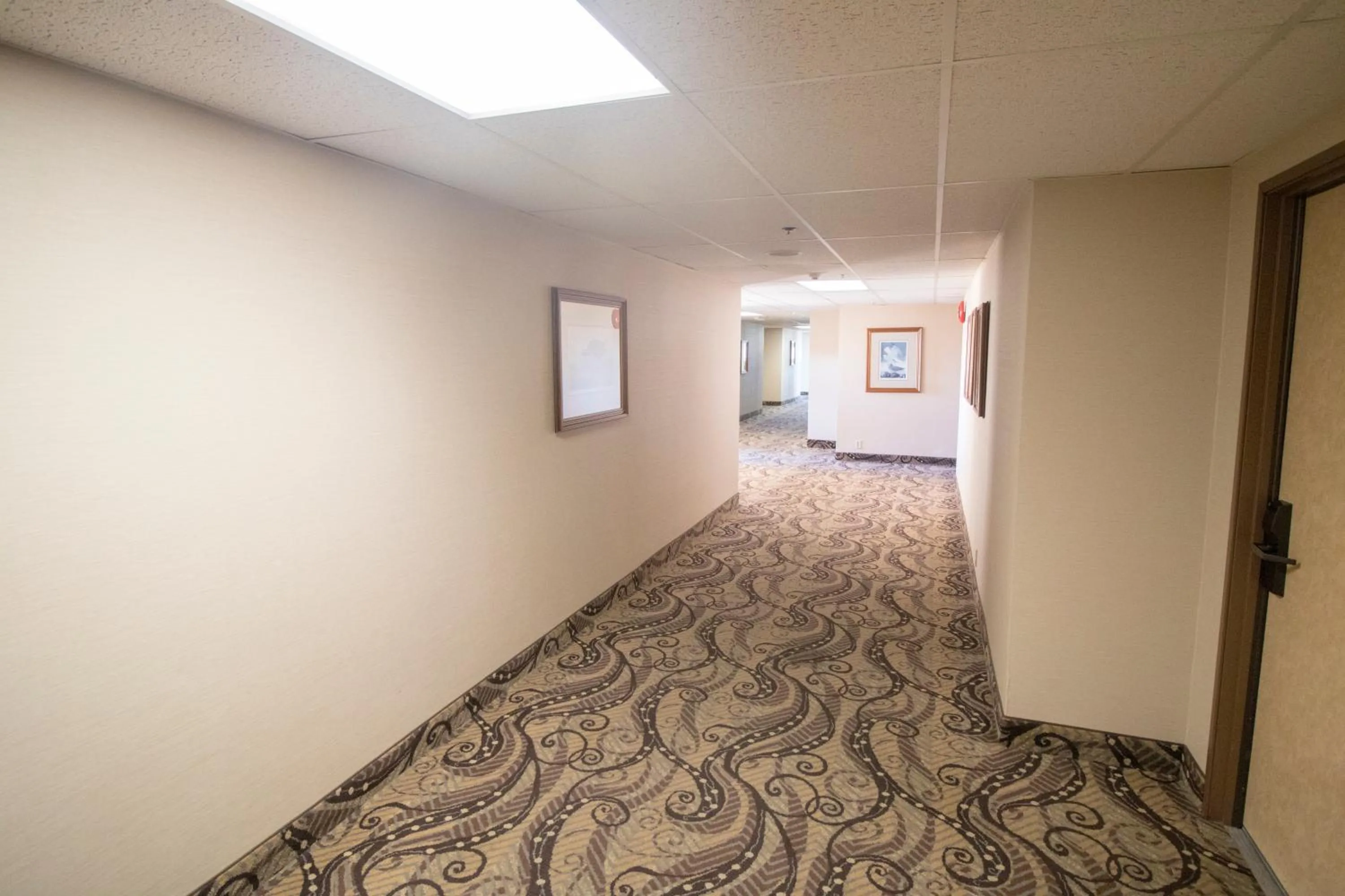 Property building in Hotel La Serena