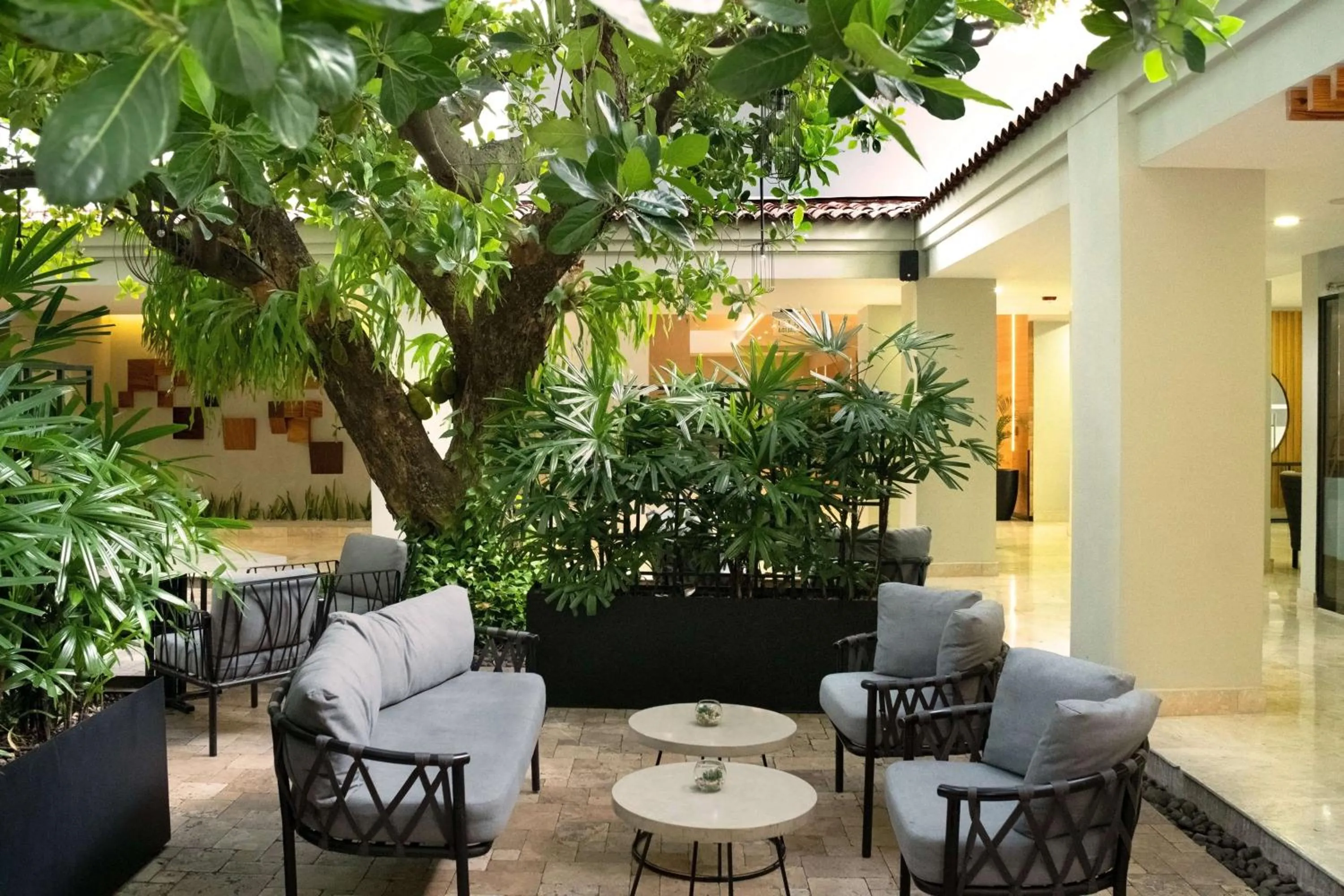 Patio in Crowne Plaza San Salvador, an IHG Hotel