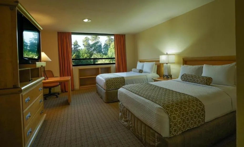 Photo of the whole room, Bed in Gamma by Fiesta Americ Xalapa Nubara