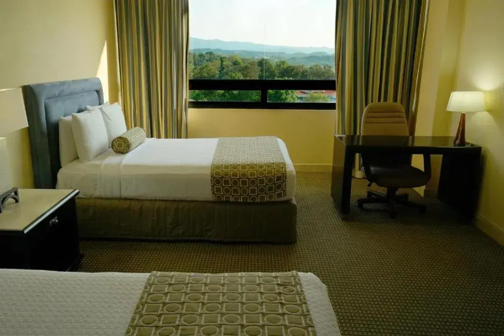 Fiesta Club Double in Gamma by Fiesta Americ Xalapa Nubara Fiesta Club Double in Gamma by Fiesta Americ Xalapa Nubara