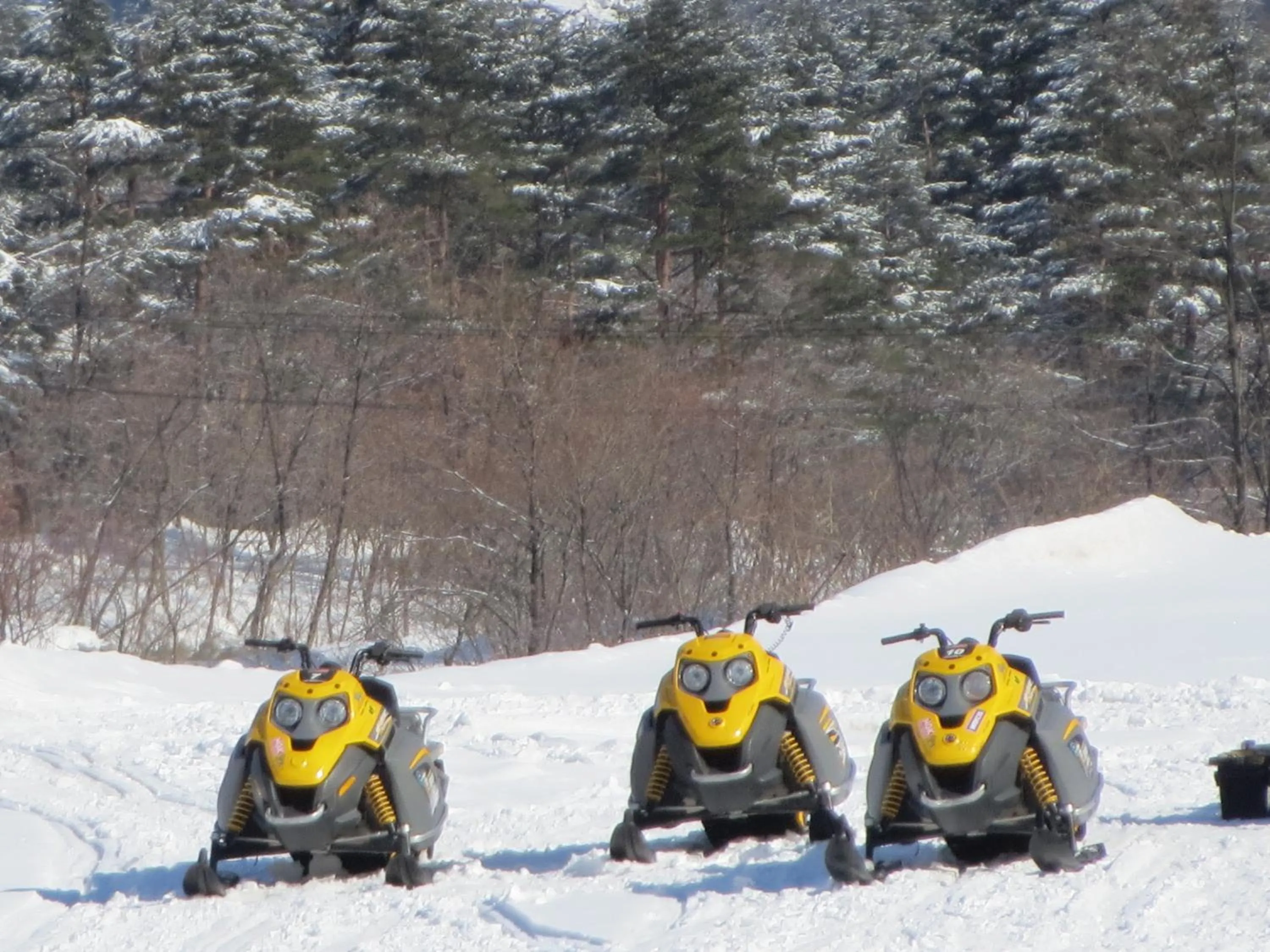 Other in Pension Marionette