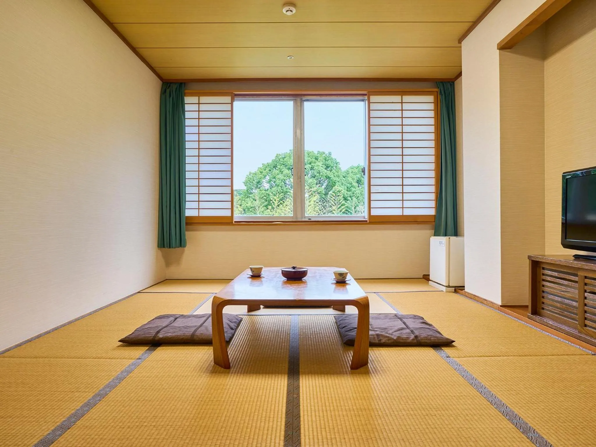 Photo of the whole room in Hotel Flags Kuju Kusima