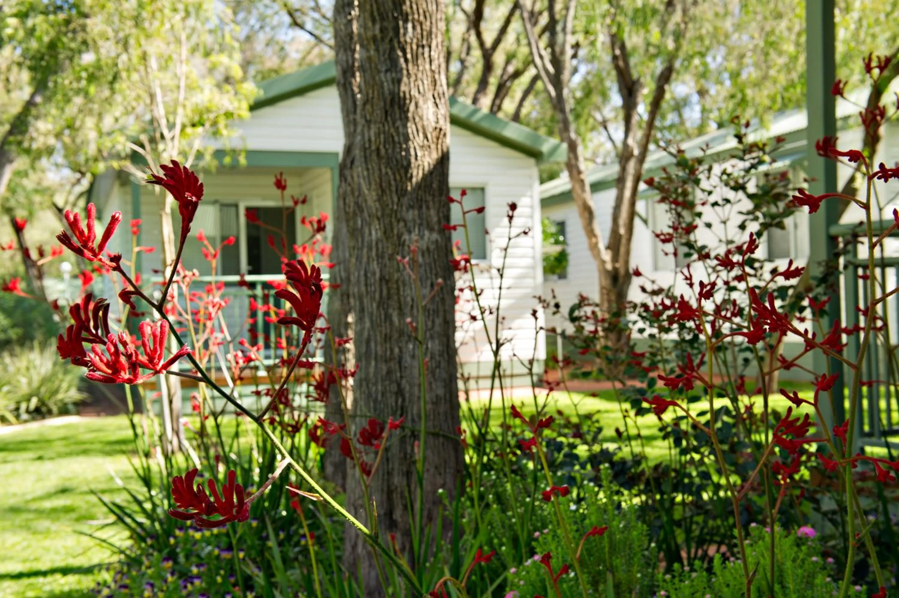 Garden in Mandalay Holiday Resort and Tourist Park