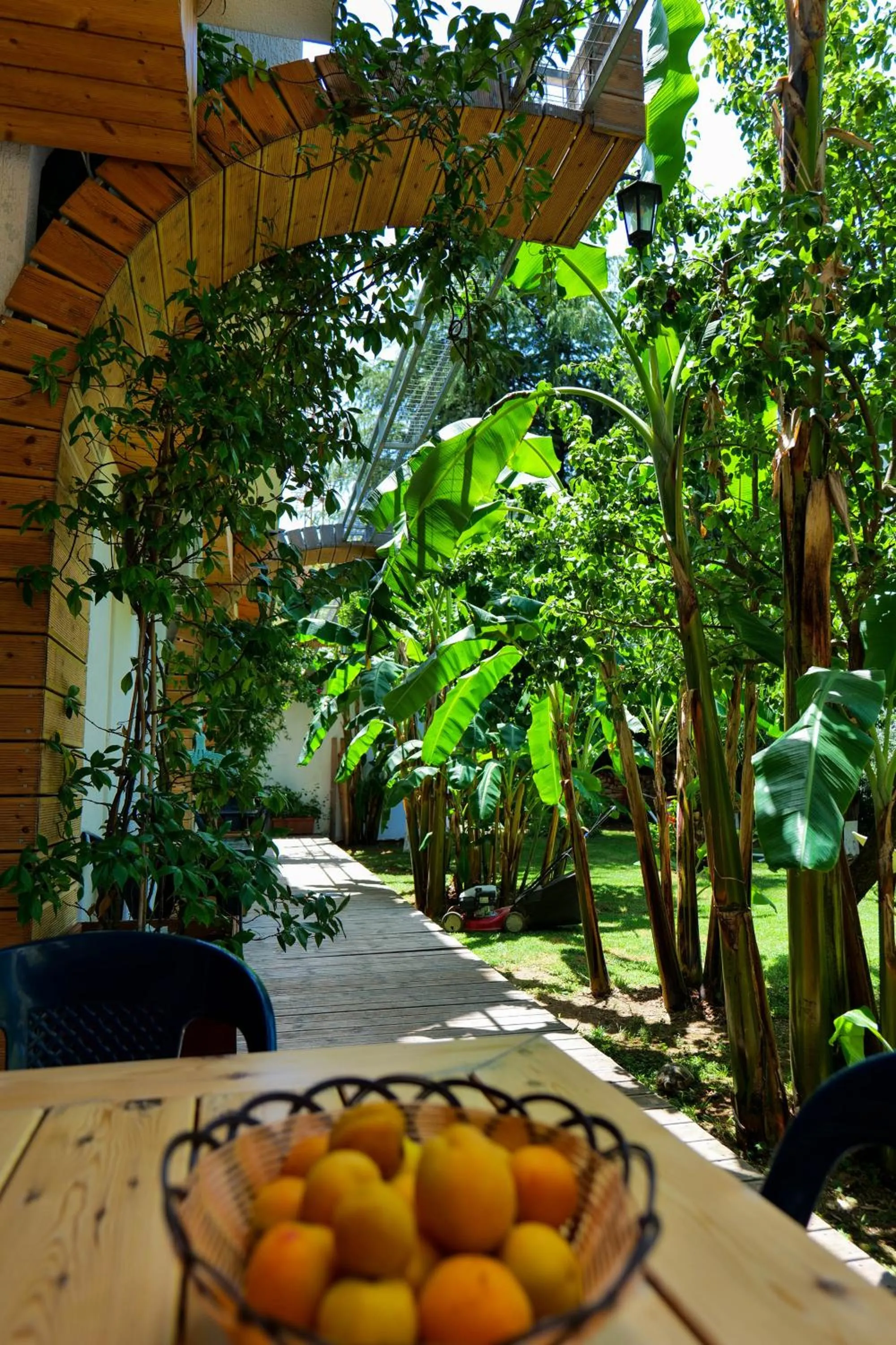 Garden in Villa Green Garden