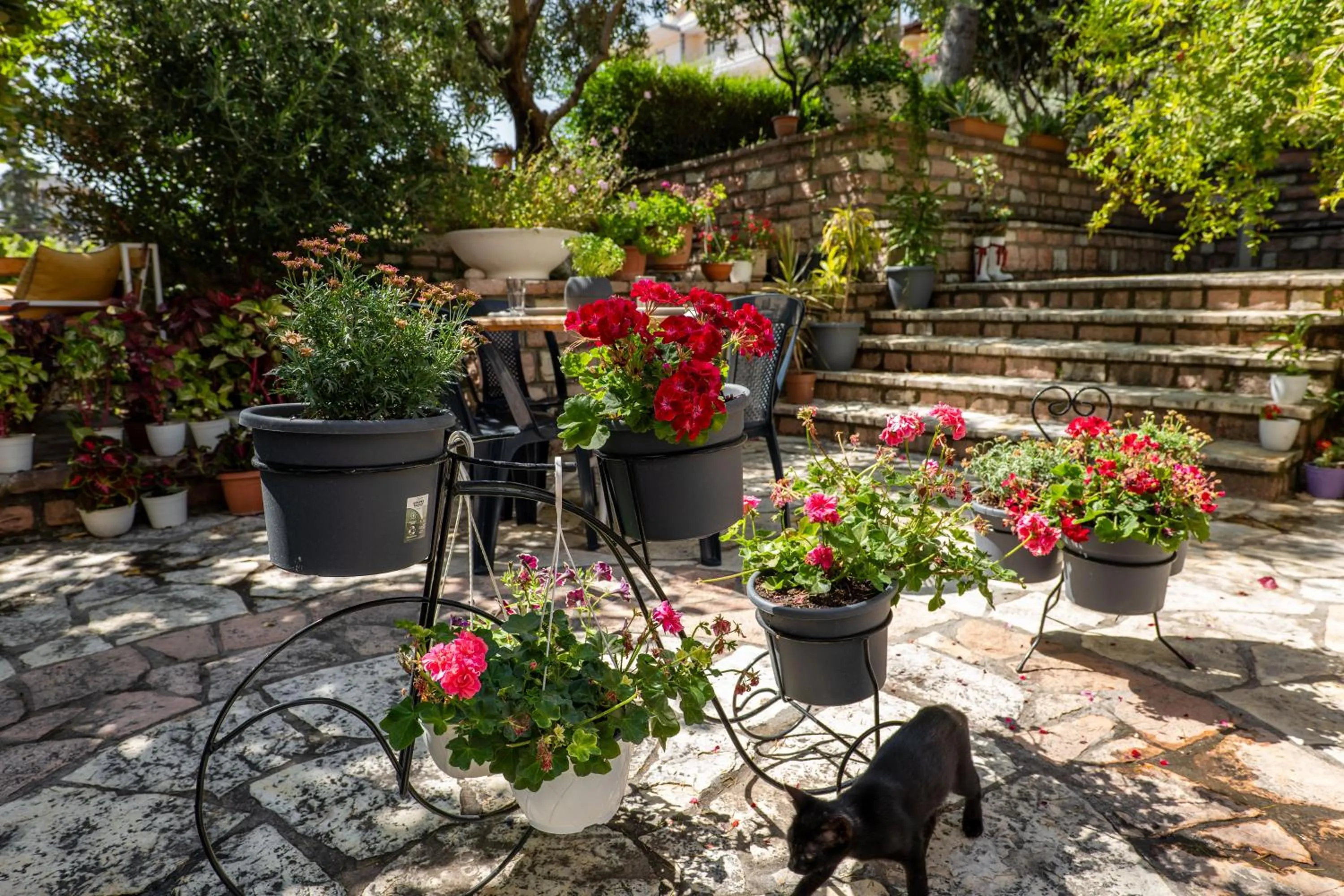 Garden view in Villa Green Garden