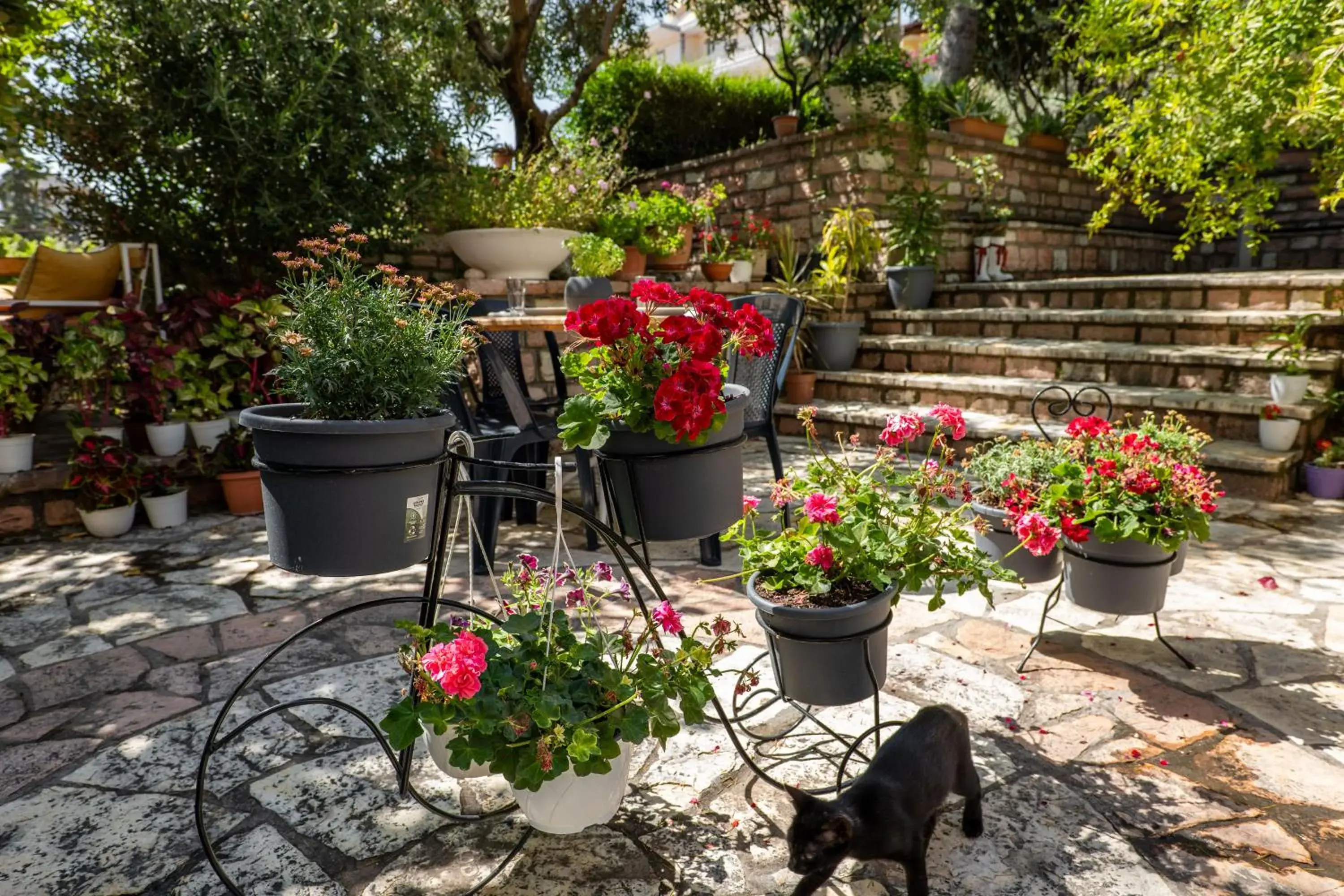 Garden view in Villa Green Garden Garden view in Villa Green Garden