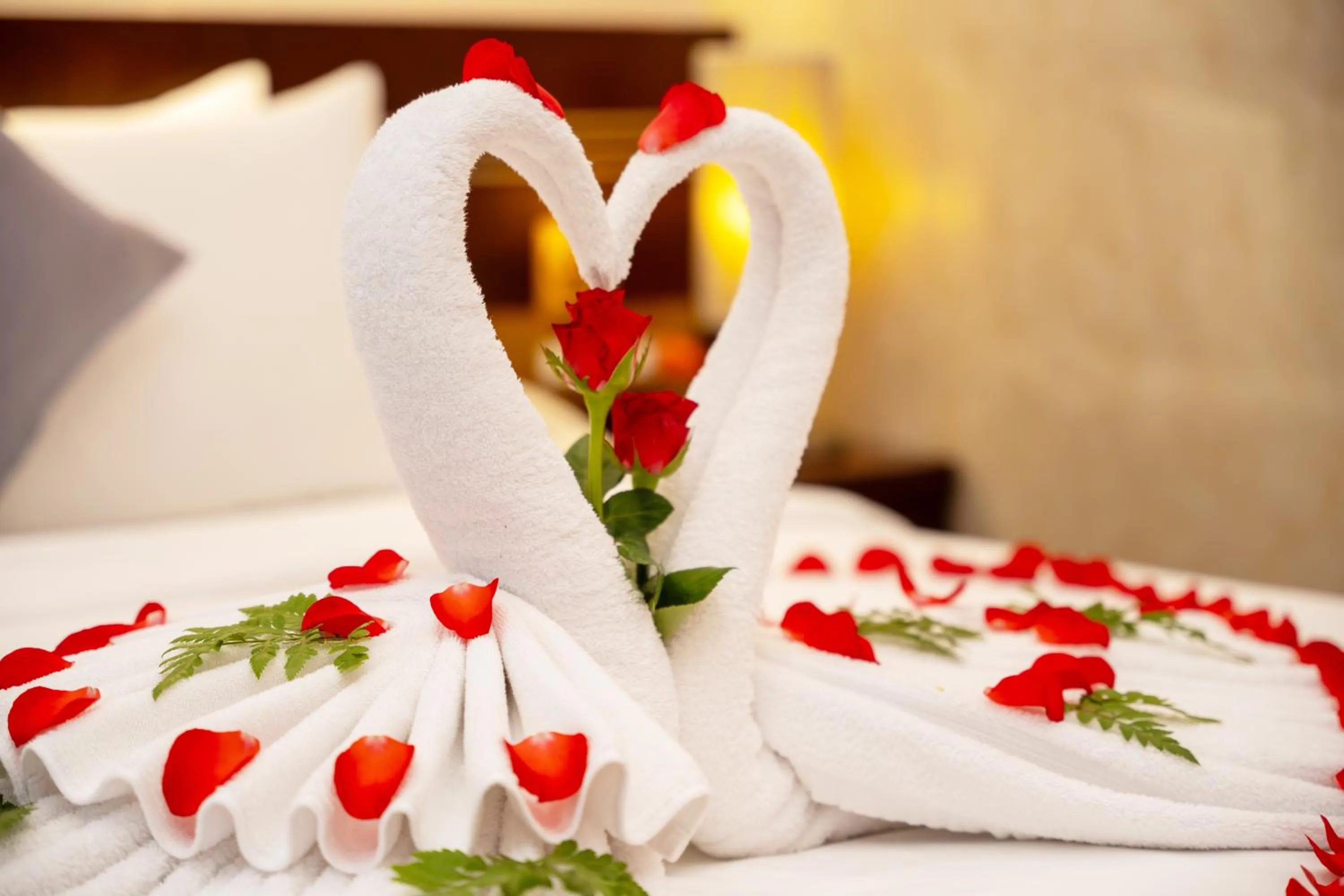 Decorative detail, Bed in Cap Town Hotel