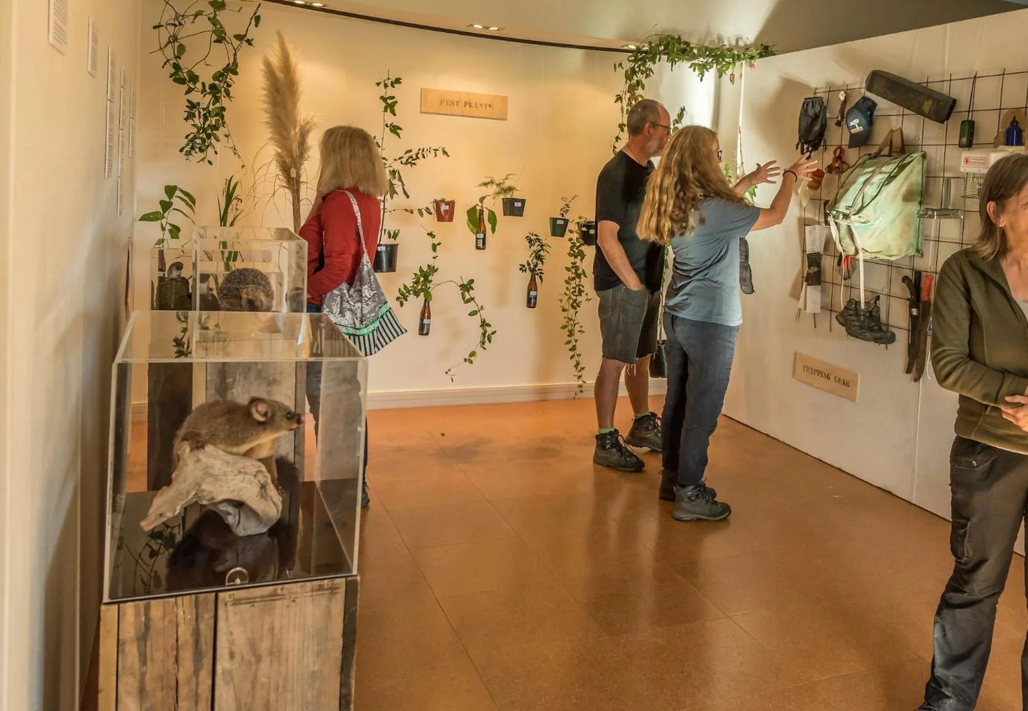 Tasman Holiday Parks - Coromandel