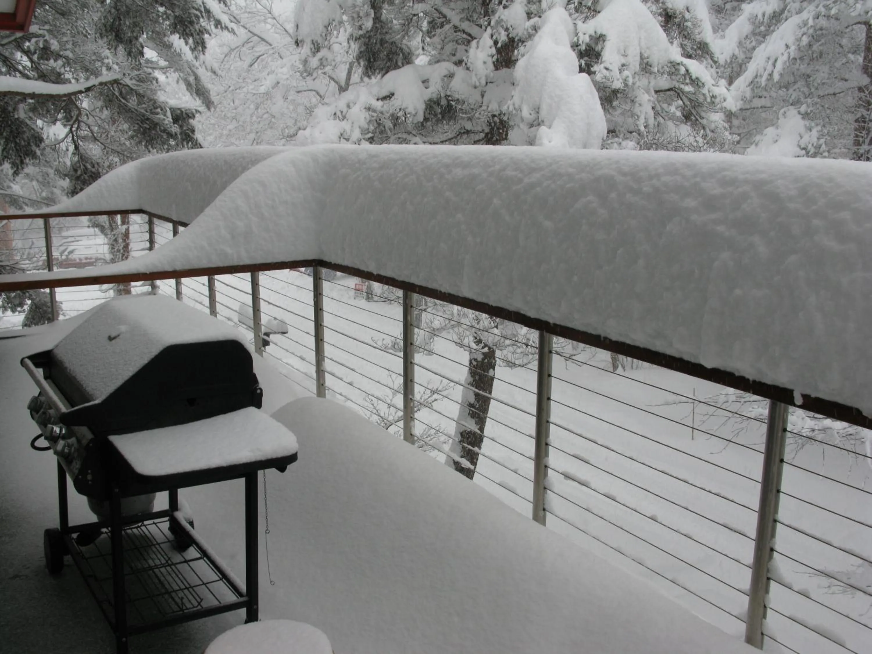 Winter in White Horse Hotel