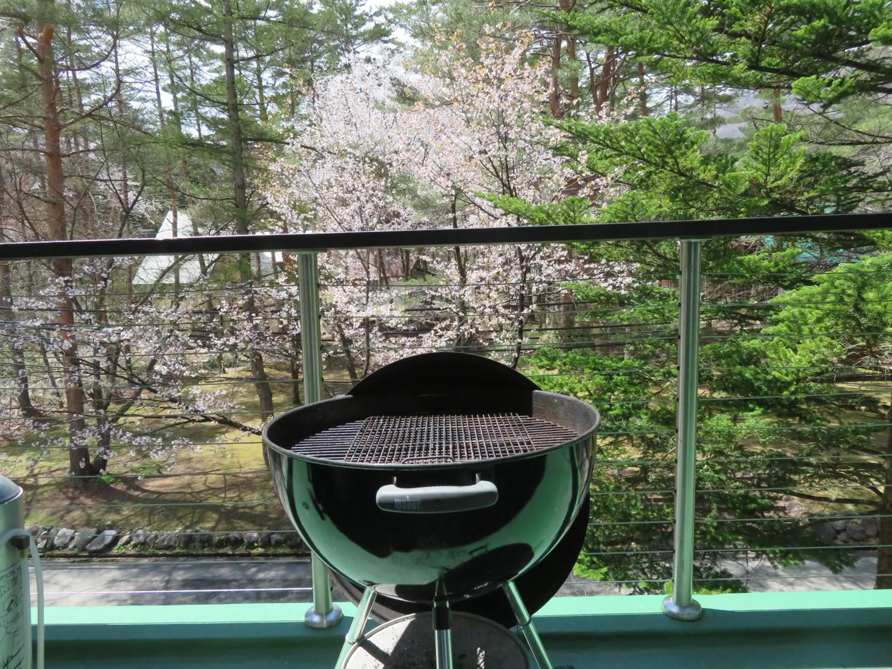 BBQ facilities in White Horse Hotel