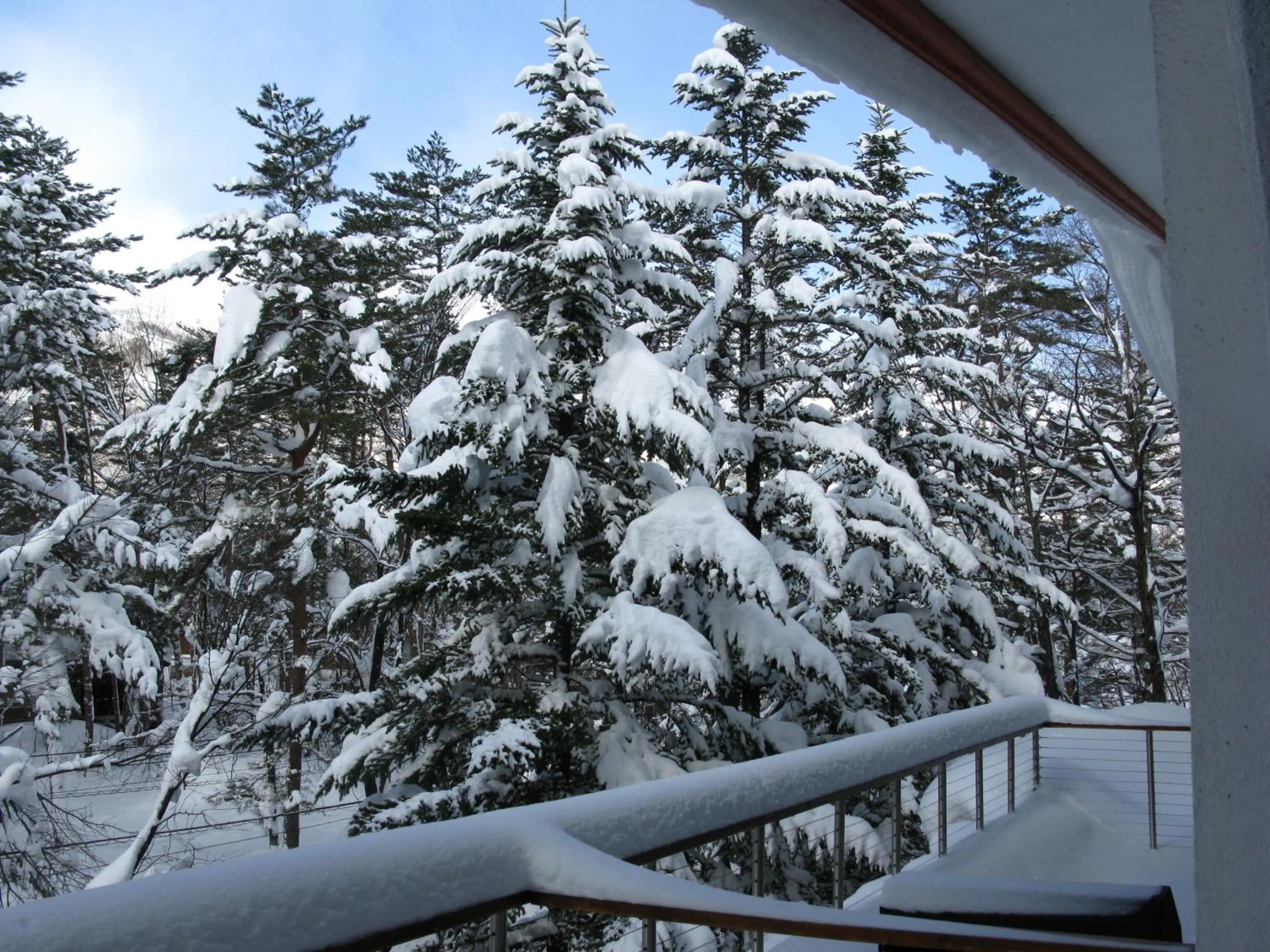 Natural landscape in White Horse Hotel
