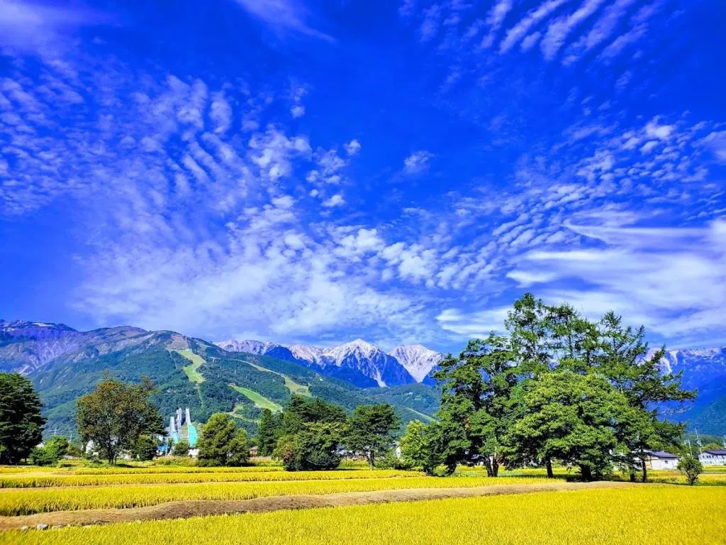 Neighbourhood in White Horse Hotel