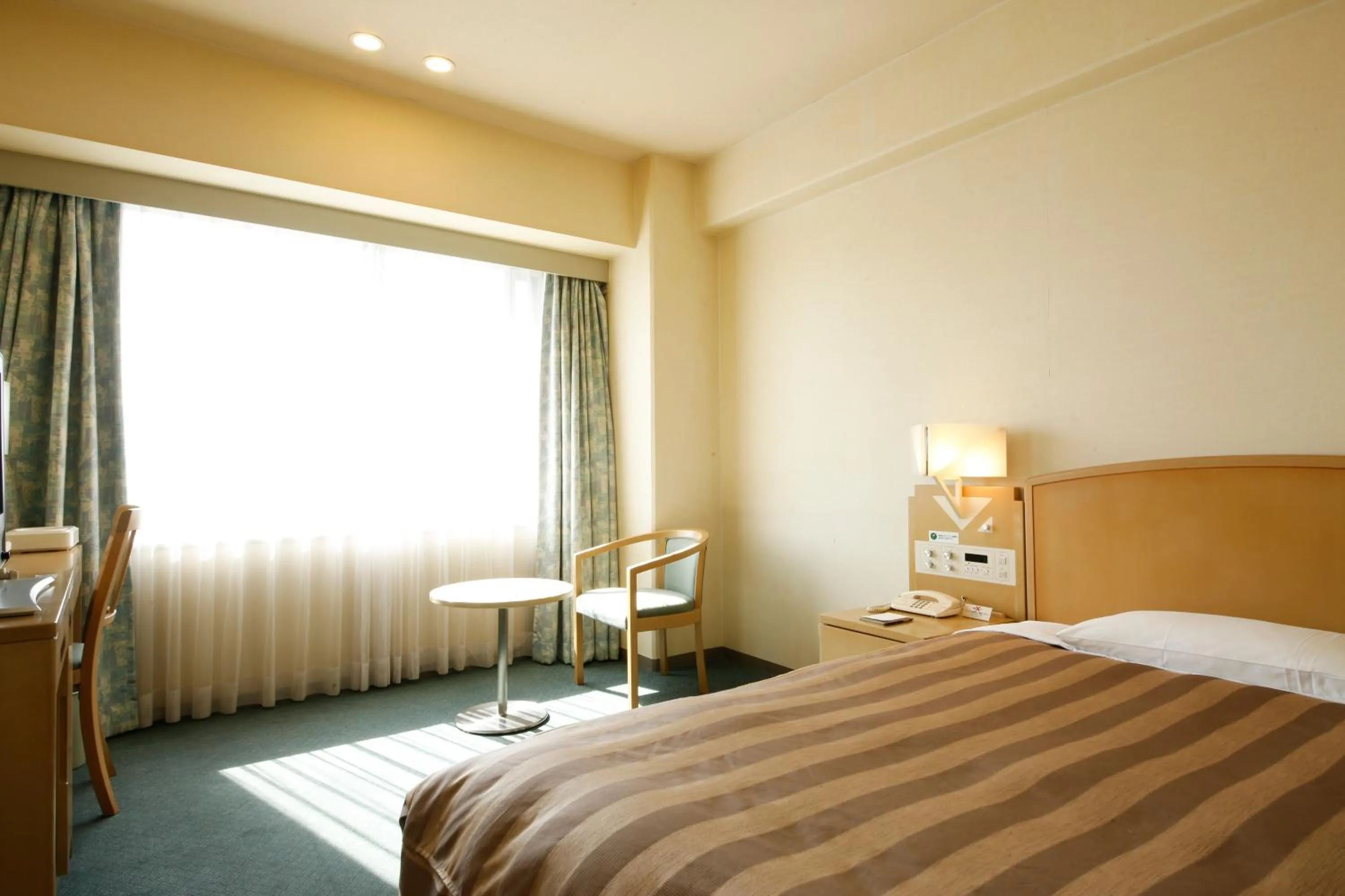 Single Room - Smoking in Tokushima Grandvrio Hotel