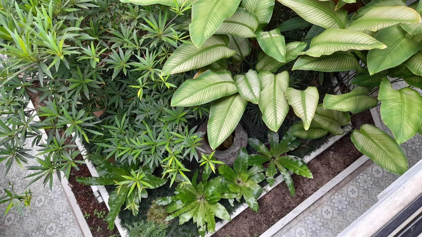 Panna Heritage Boutique Hotel - SHA Plus