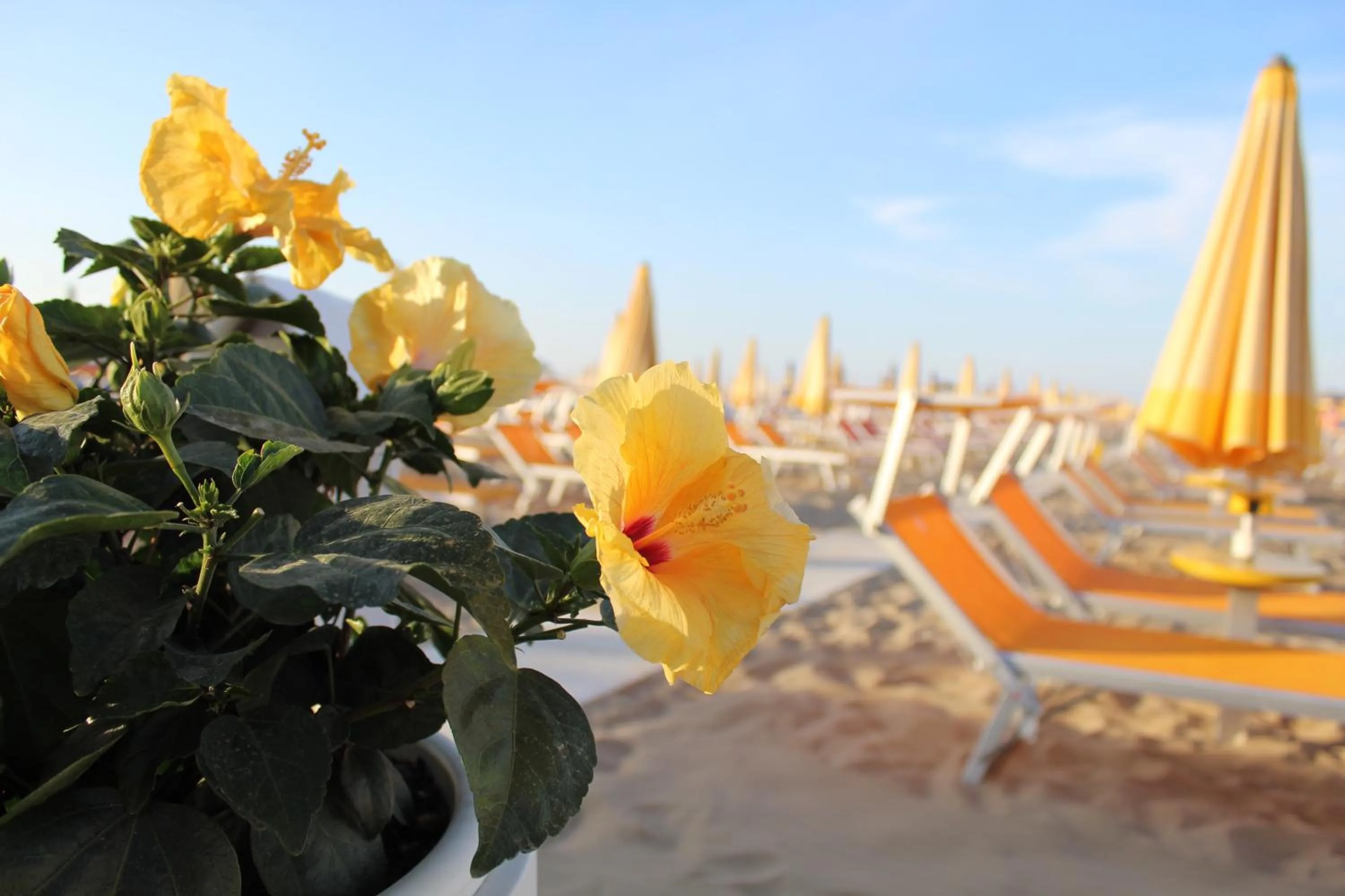 Beach in Hotel Villa Lieta