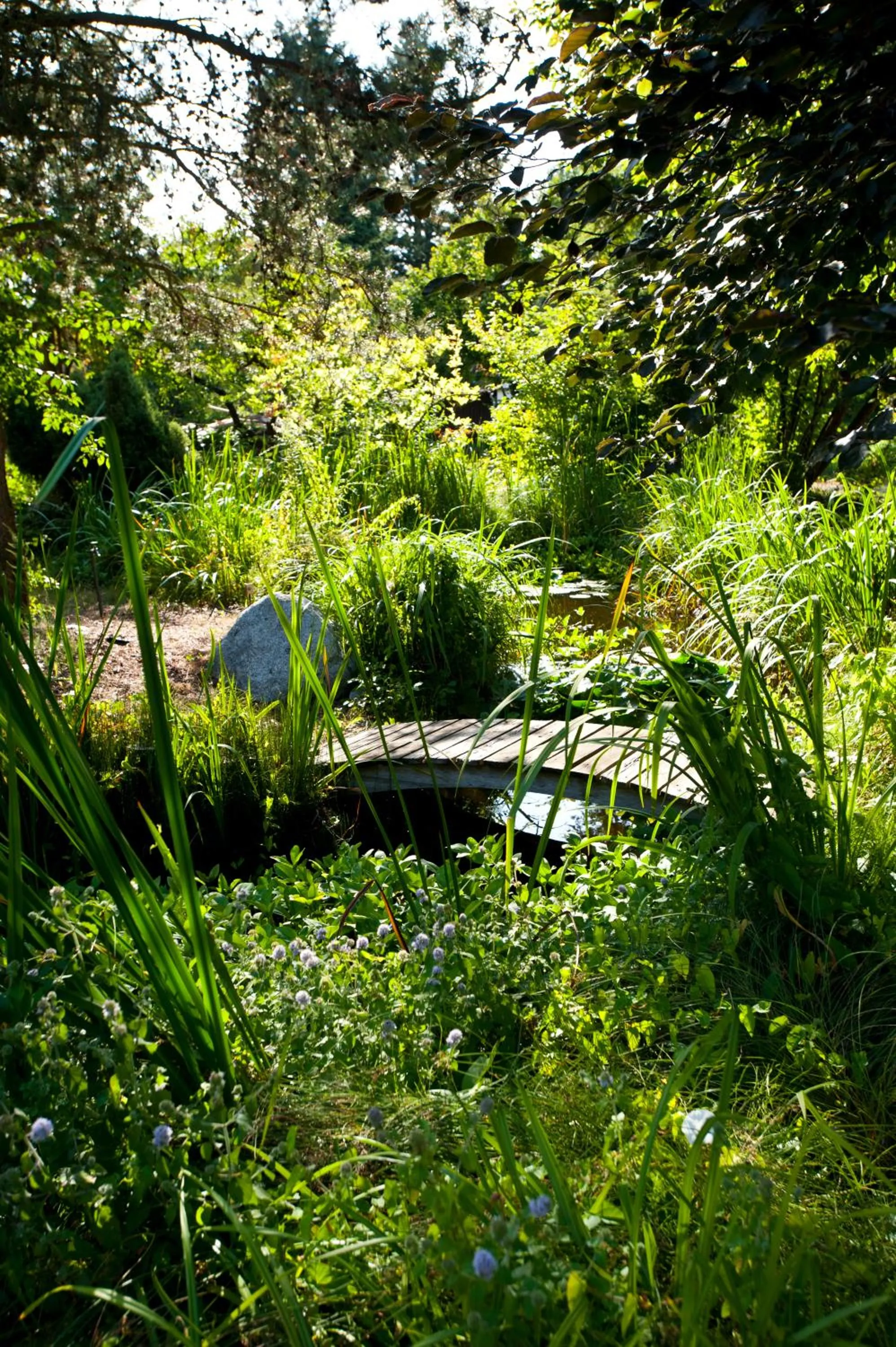 Garden in Hotel Käferstein garni