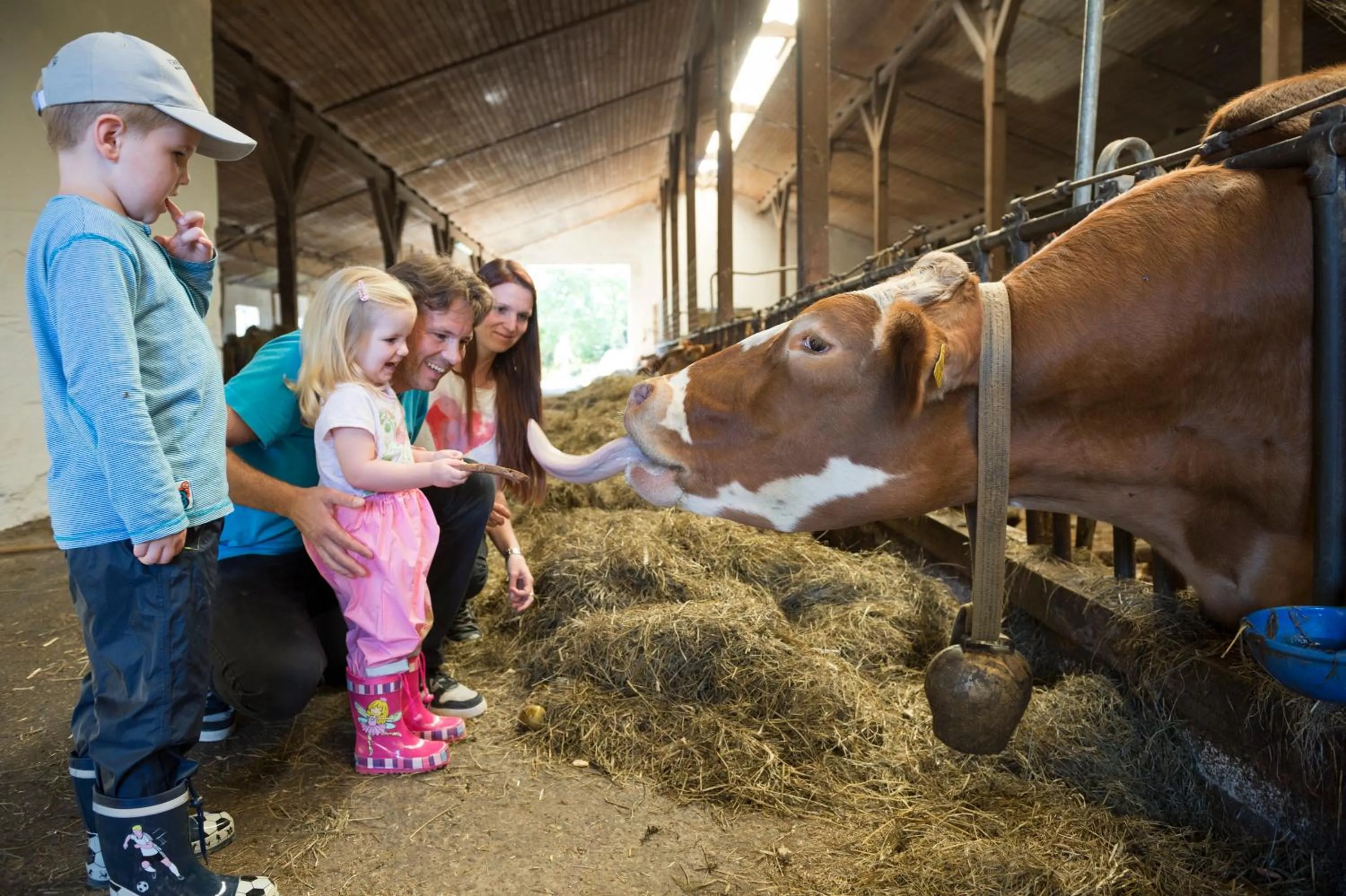 Animals in Familotel Schreinerhof