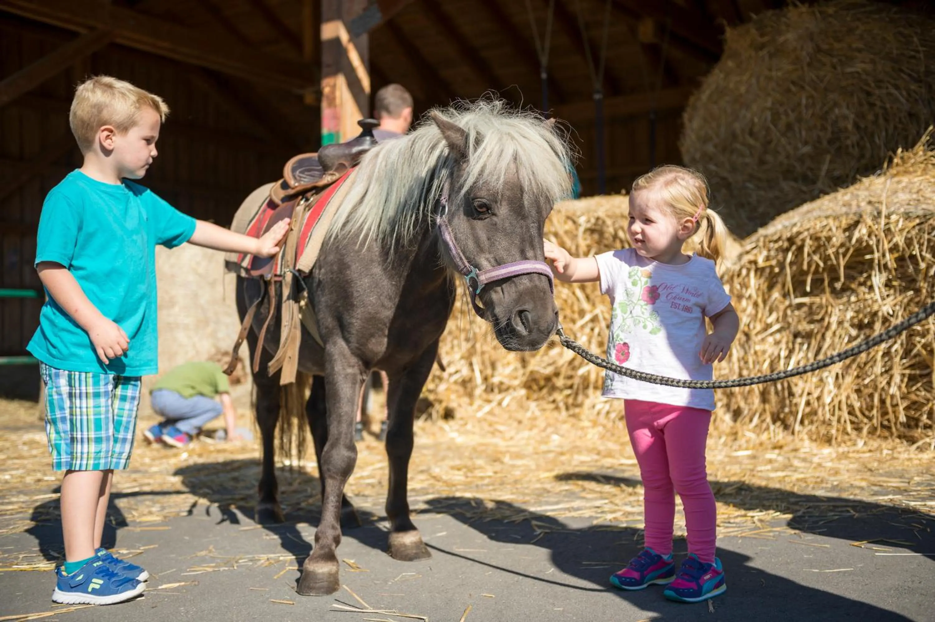 Horse-riding in Familotel Schreinerhof