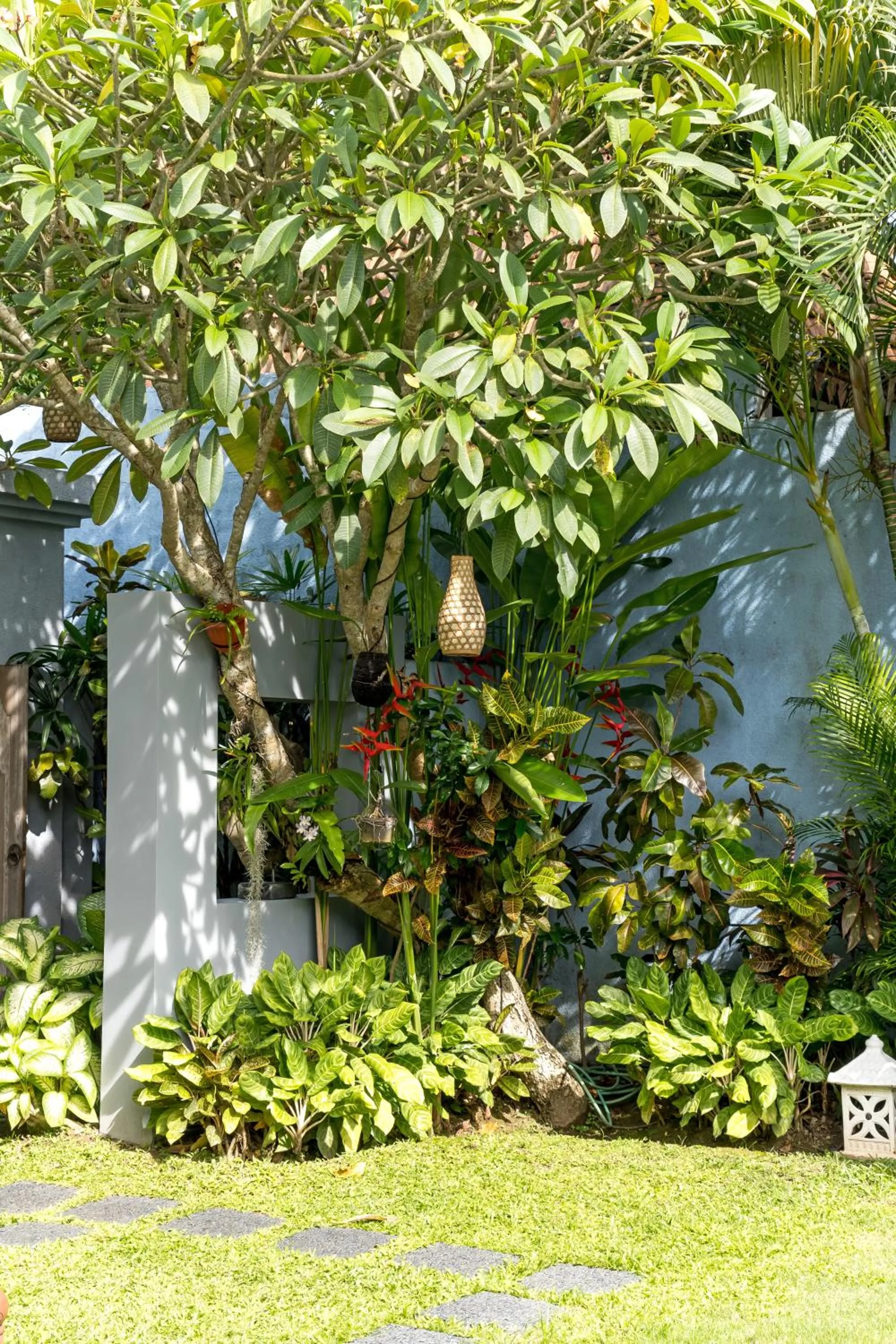 Garden in Jabunami Estate