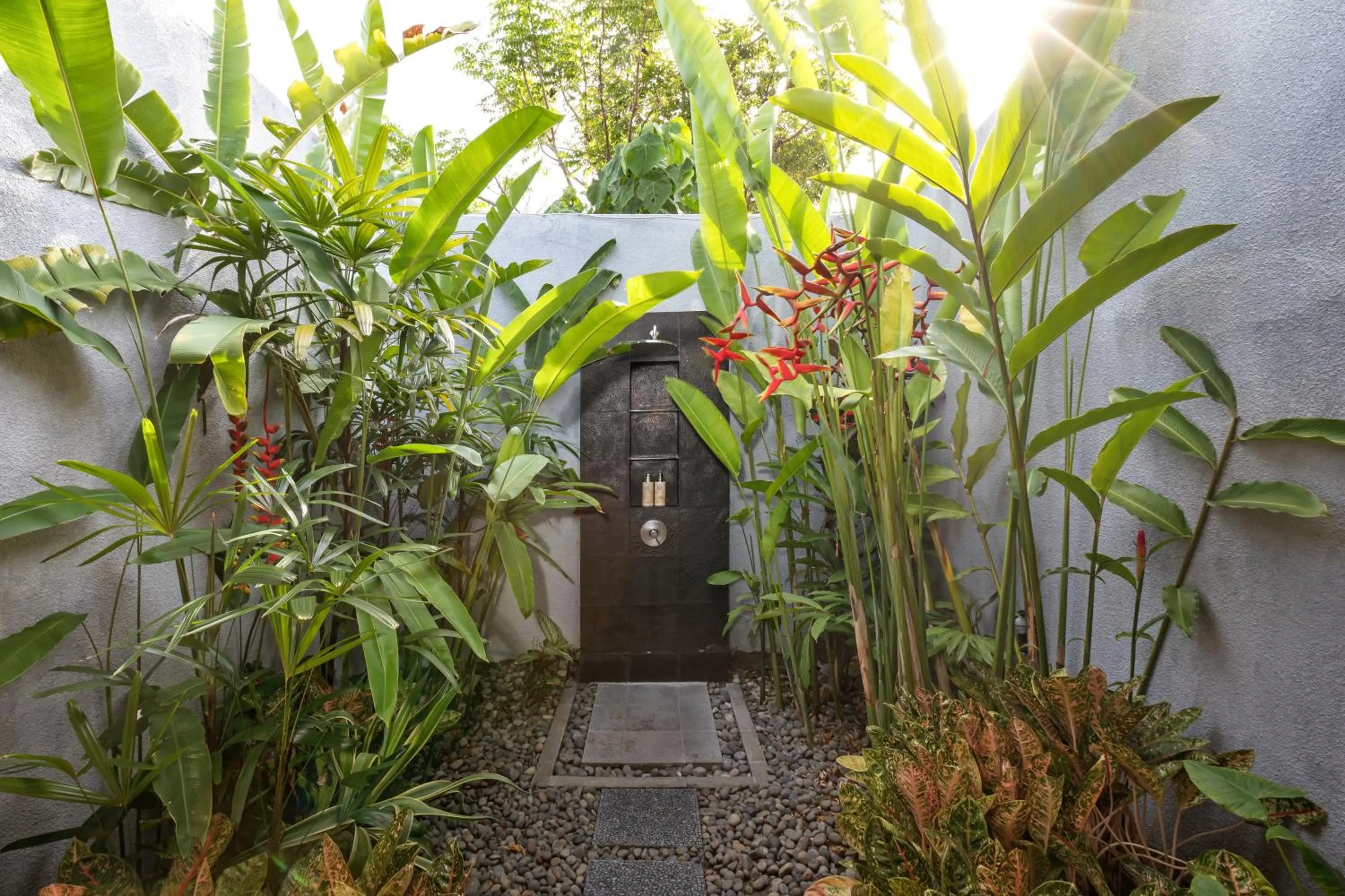 Day in Jabunami Estate