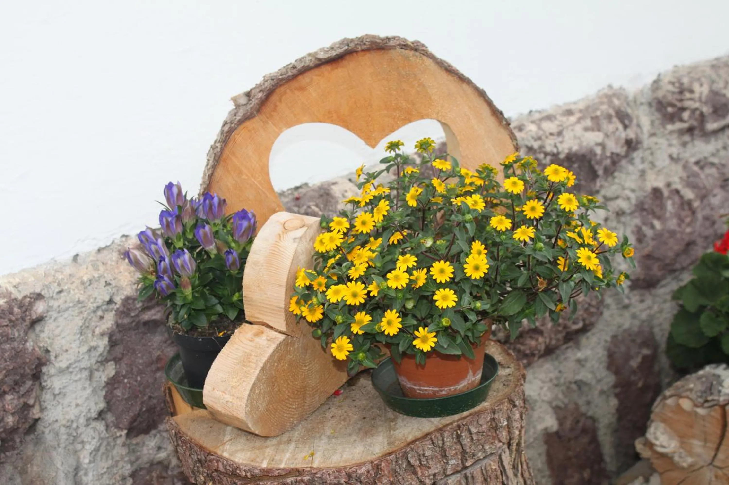 Landhaus Summerer