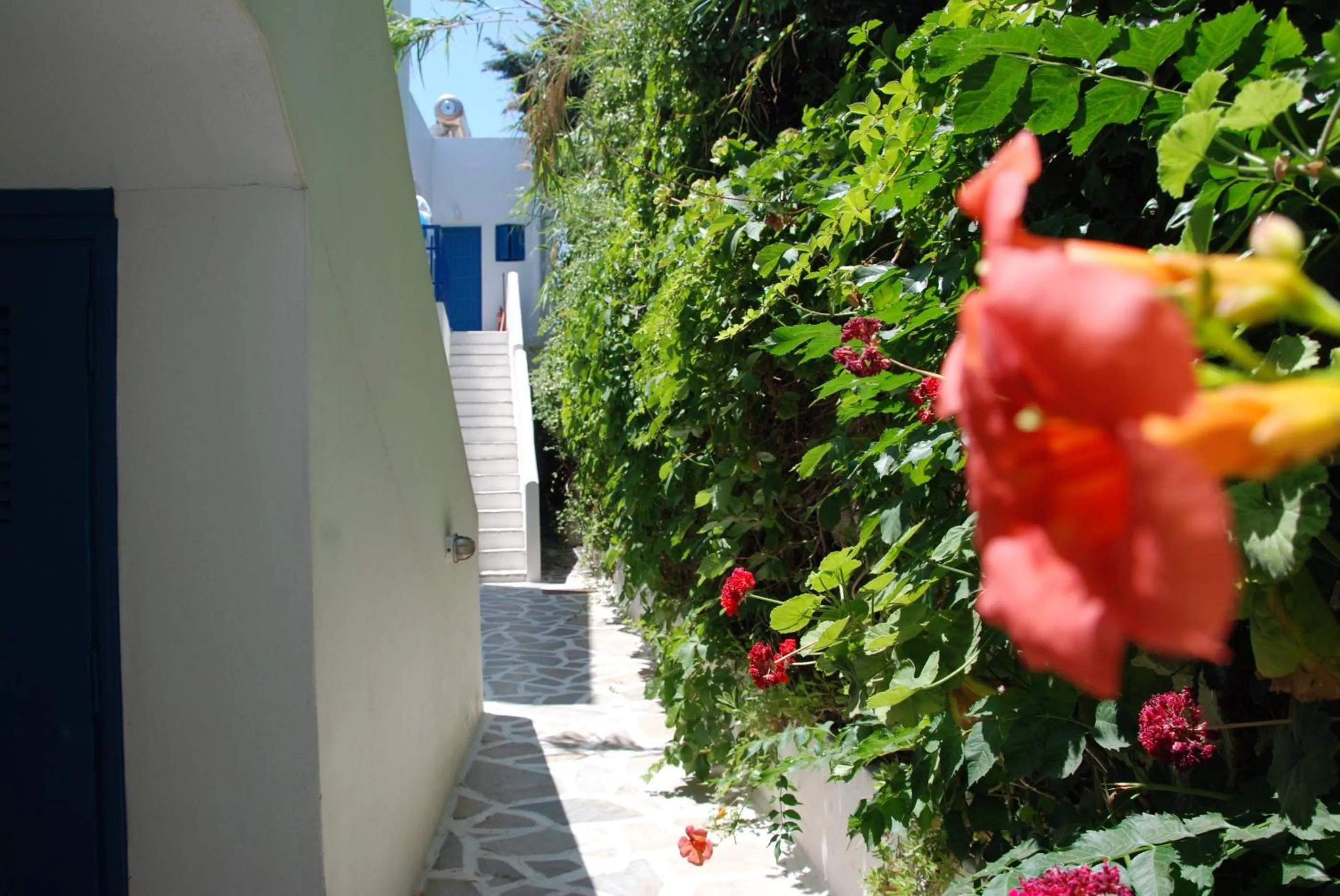 Facade/entrance in Koulas Pension - Red Lake