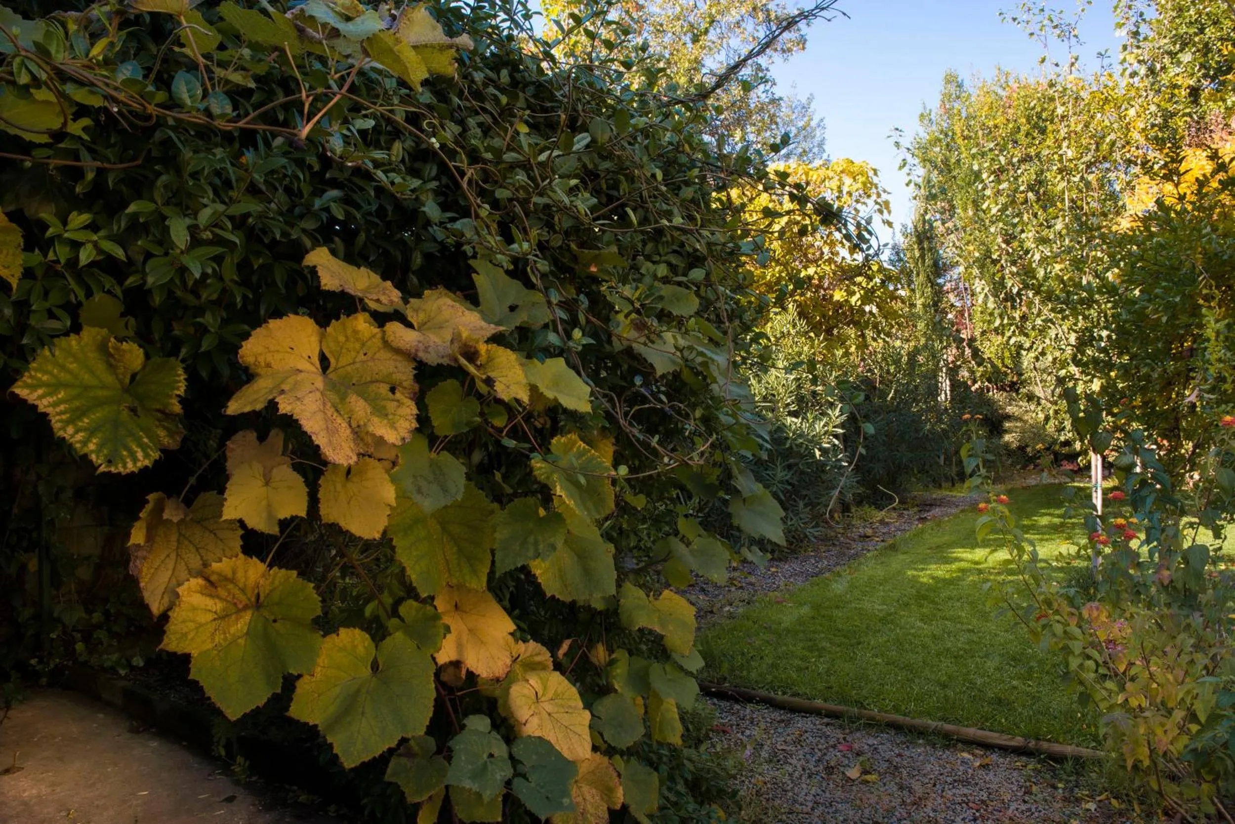 Garden in Al Porto Di Lucca B&B