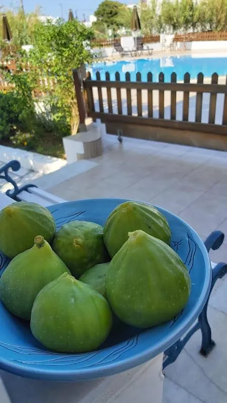 Breakfast in Anna Studios