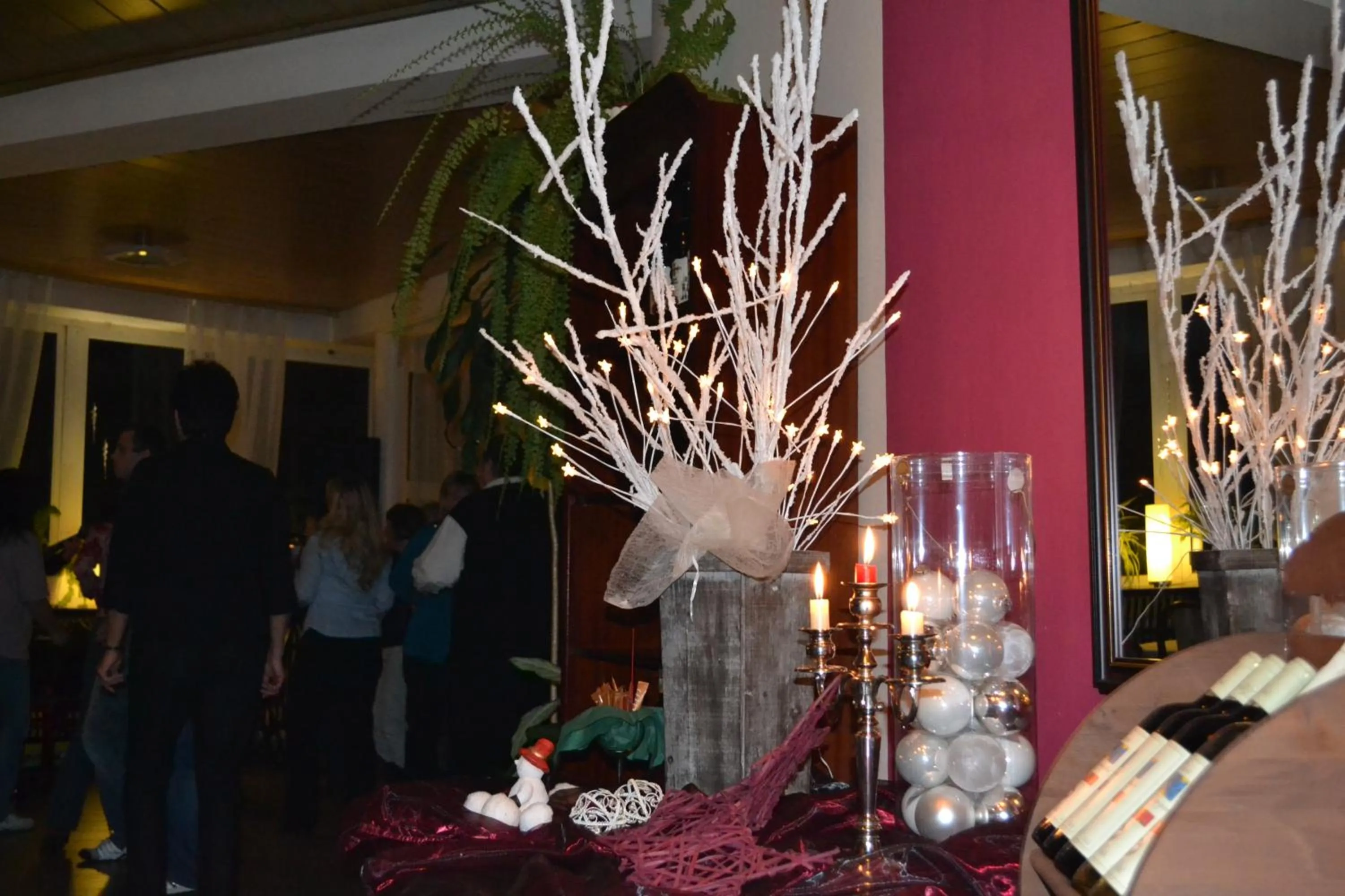 Winter in Hotel Rozvoj