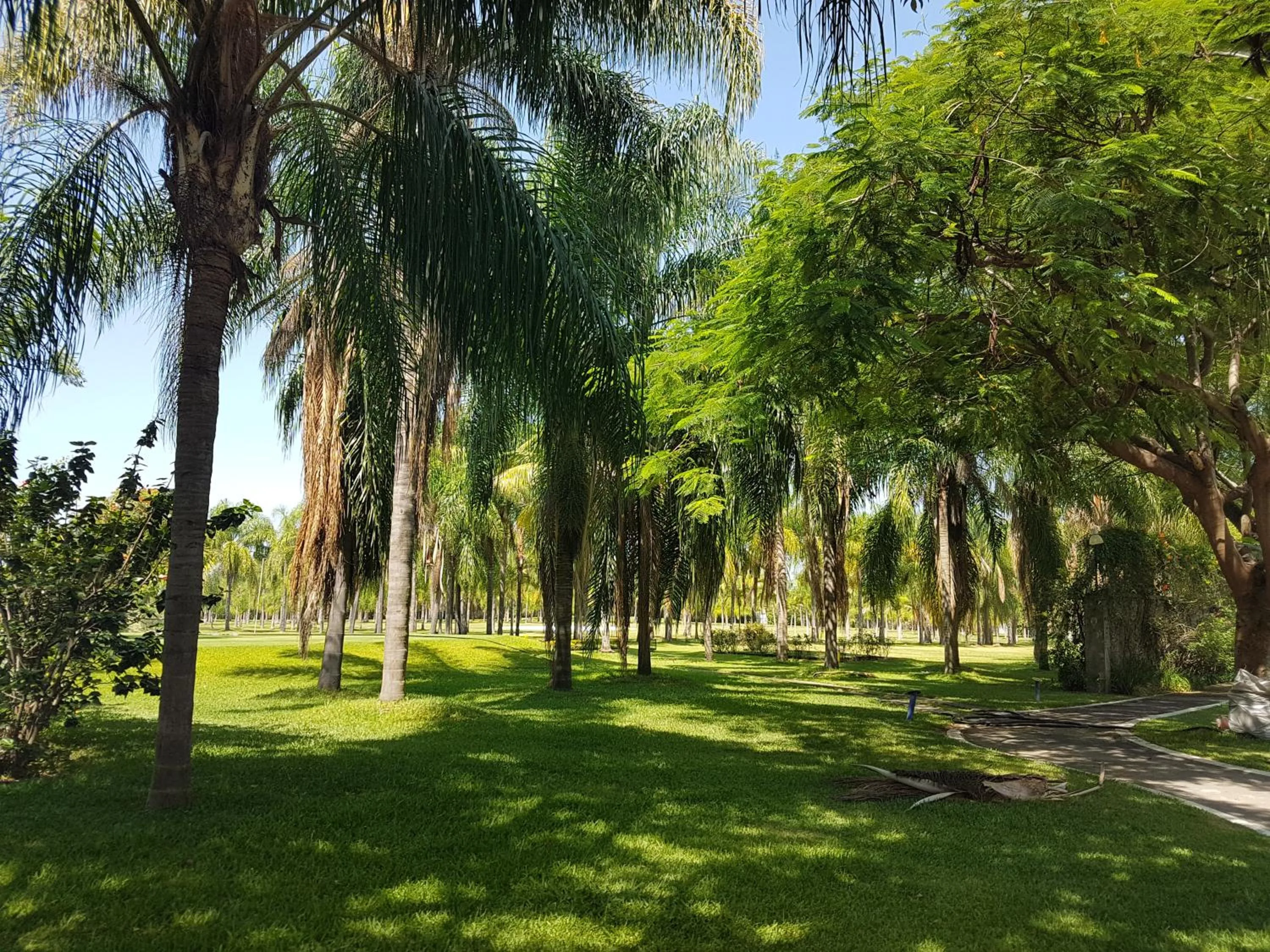 Property building in The Lorian Club