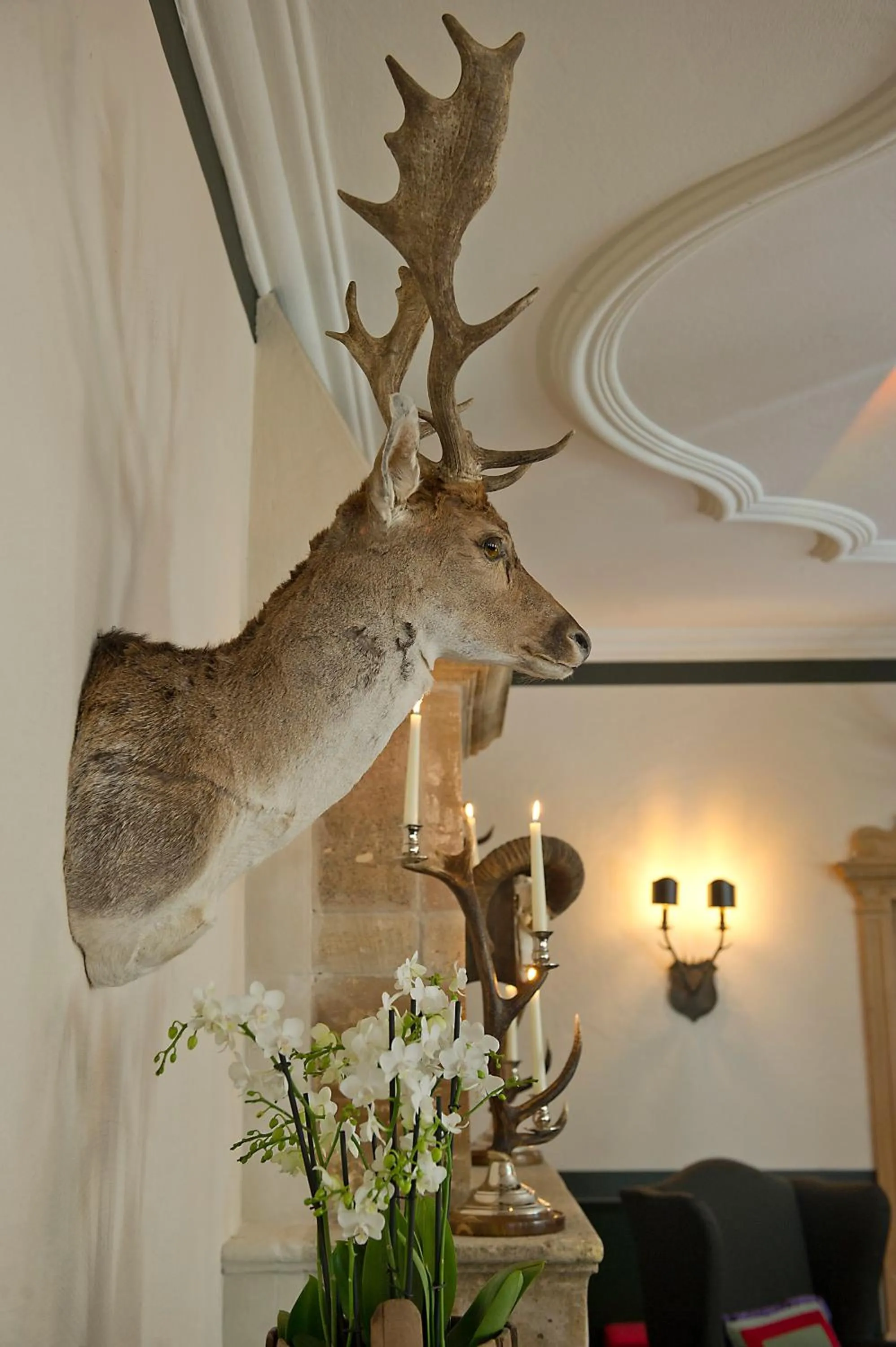 Decorative detail in House of Hütter - Wachtelhof & SPA