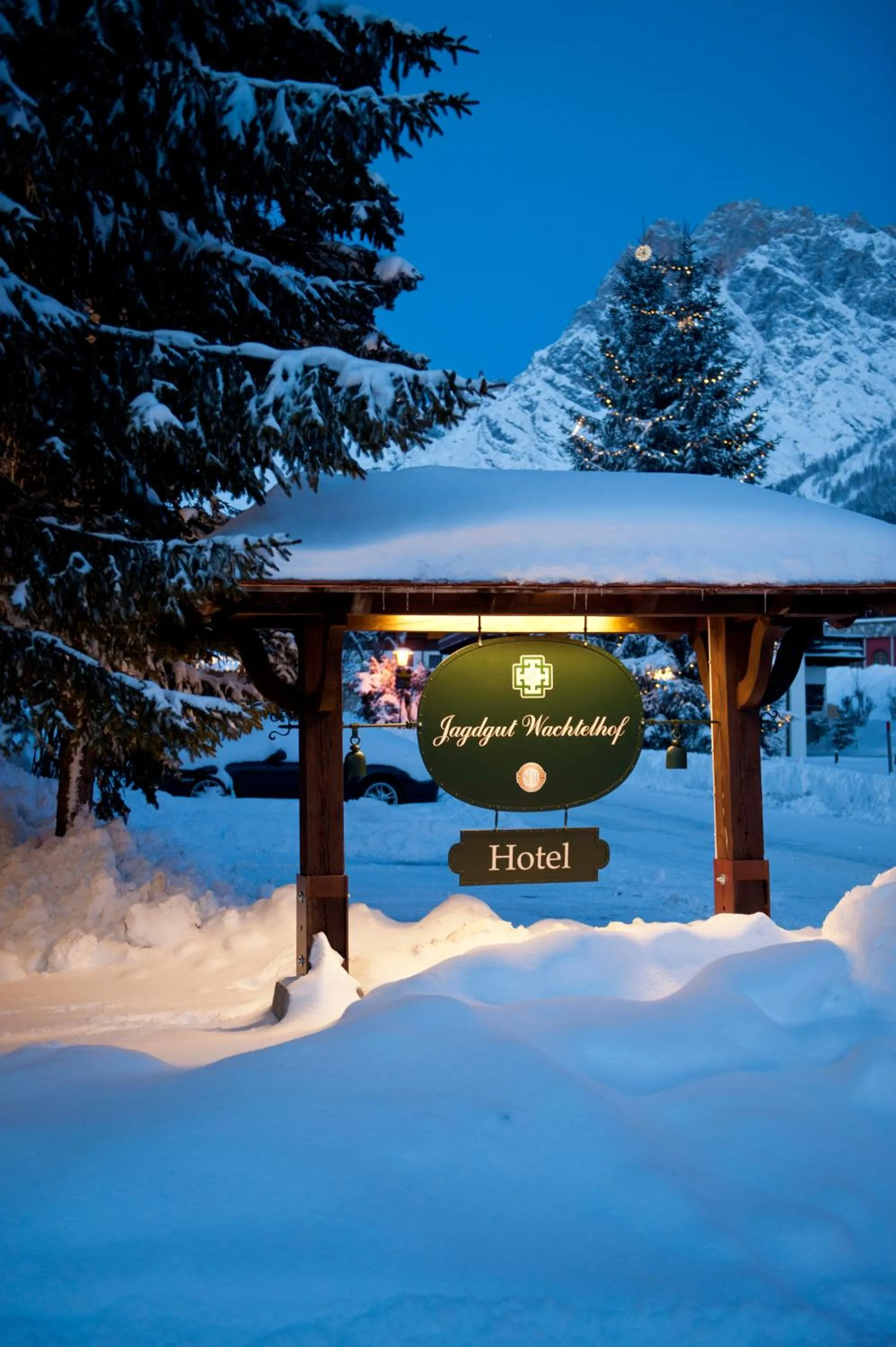 Natural landscape in House of Hütter - Wachtelhof & SPA