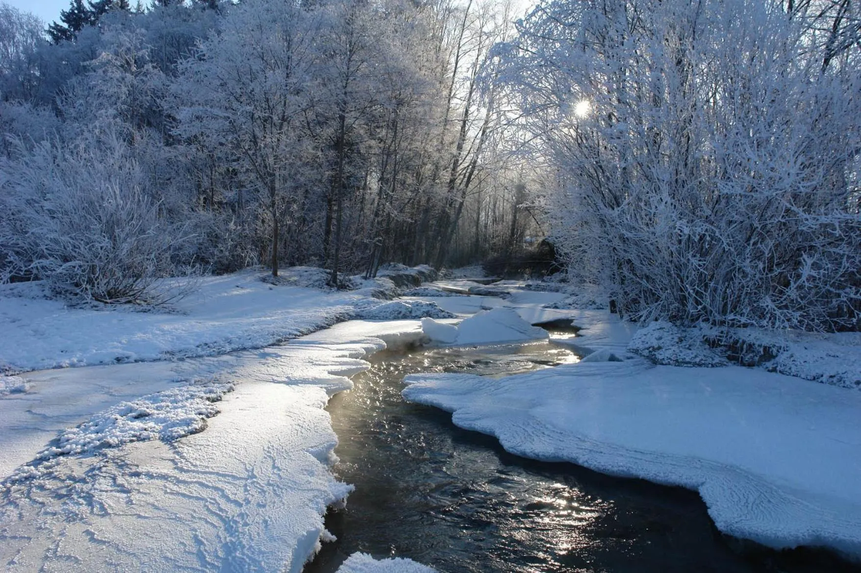 Natural landscape in House of Hütter - Wachtelhof & SPA