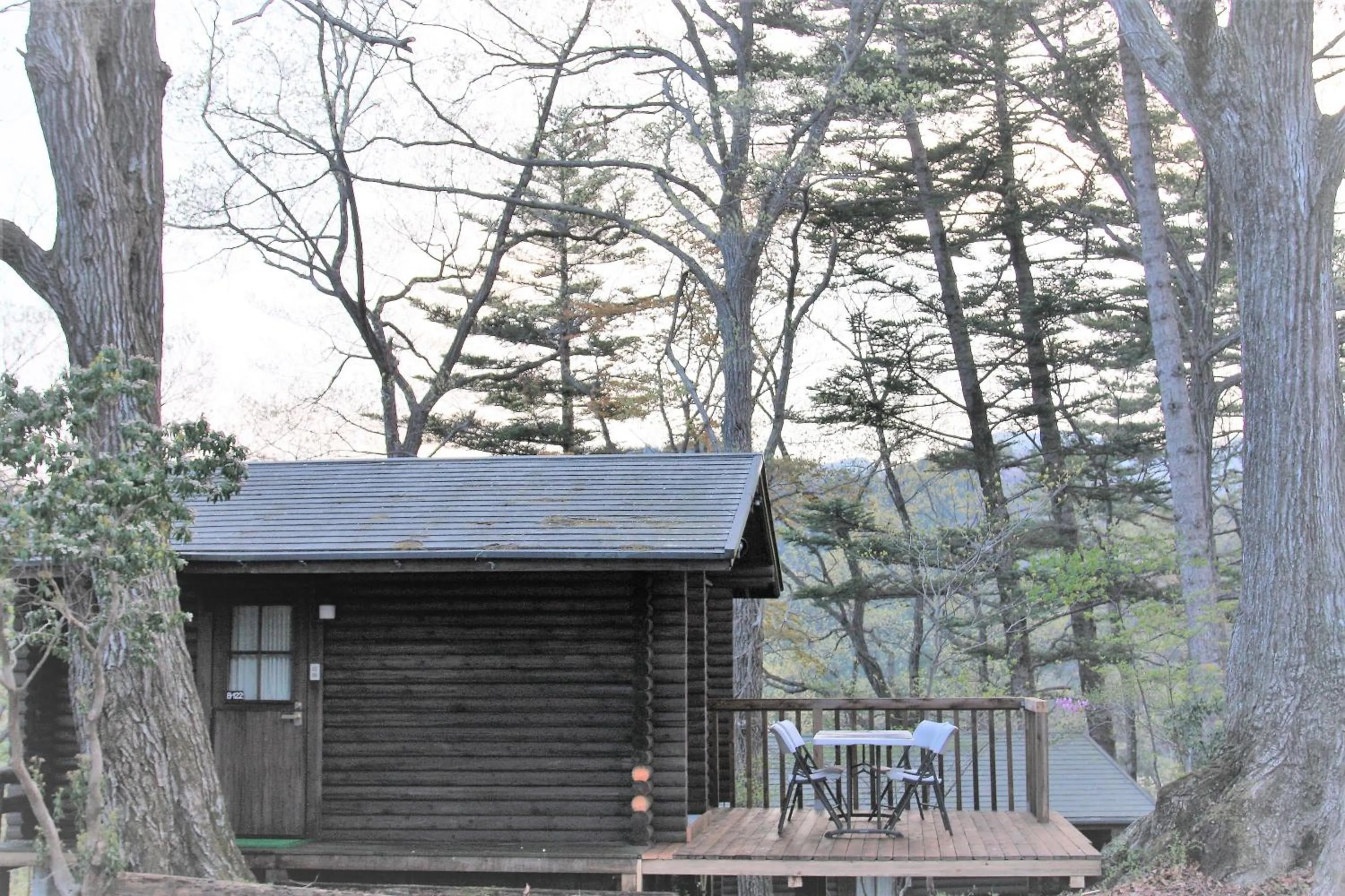 Photo of the whole room in Shomarutoge Garden House