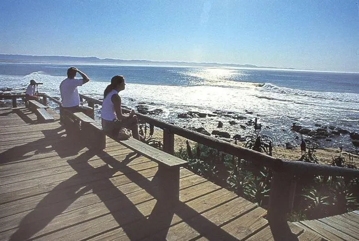 Patio in Diaz 15 House on the Bay