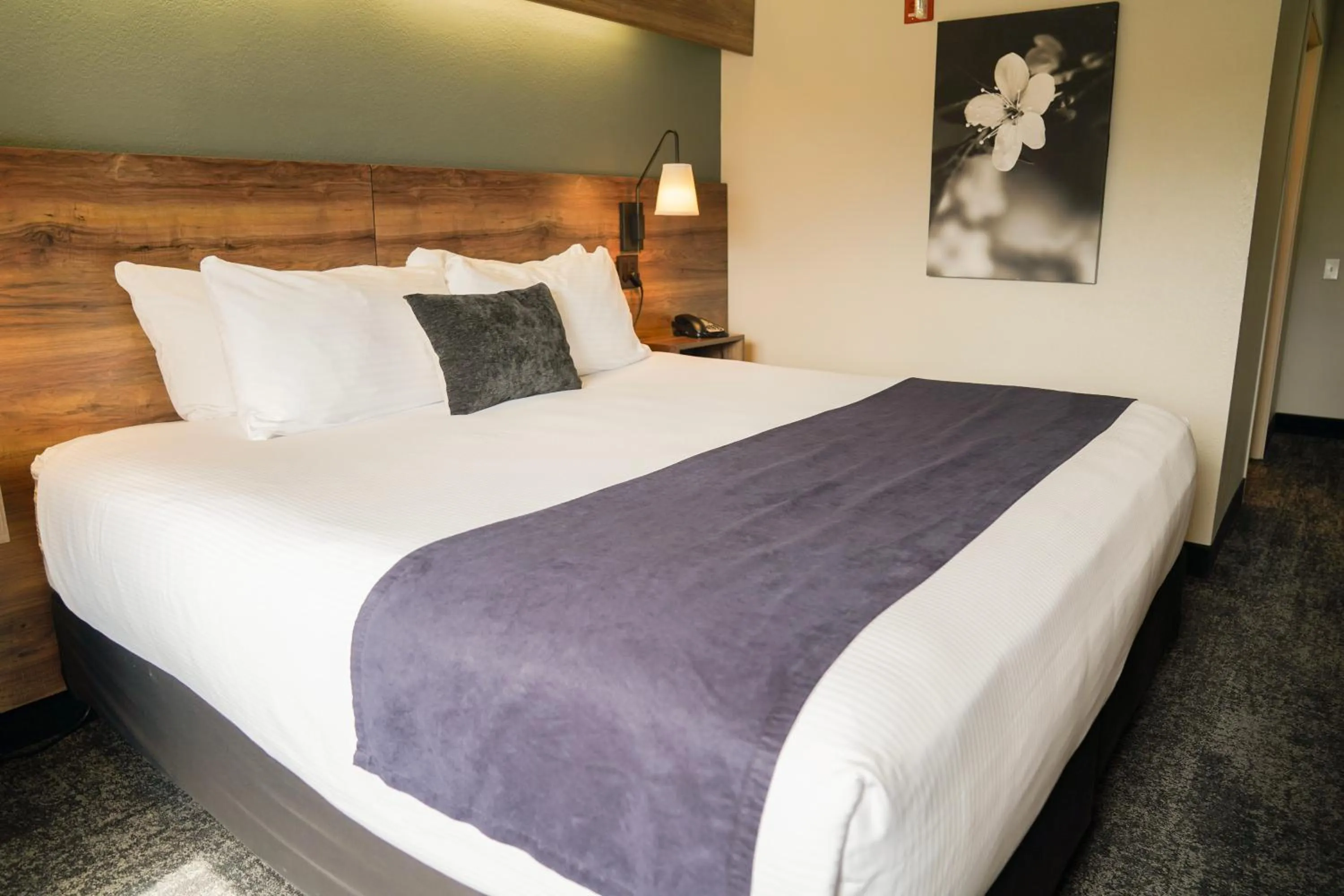 Bedroom, Bed in Hotel Ruby Sandpoint