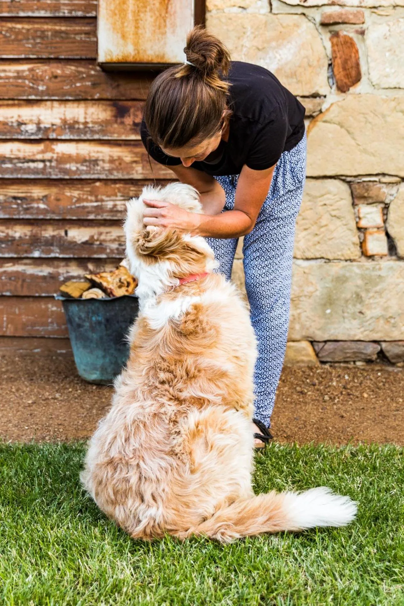Pets in Daisy Bank Cottages