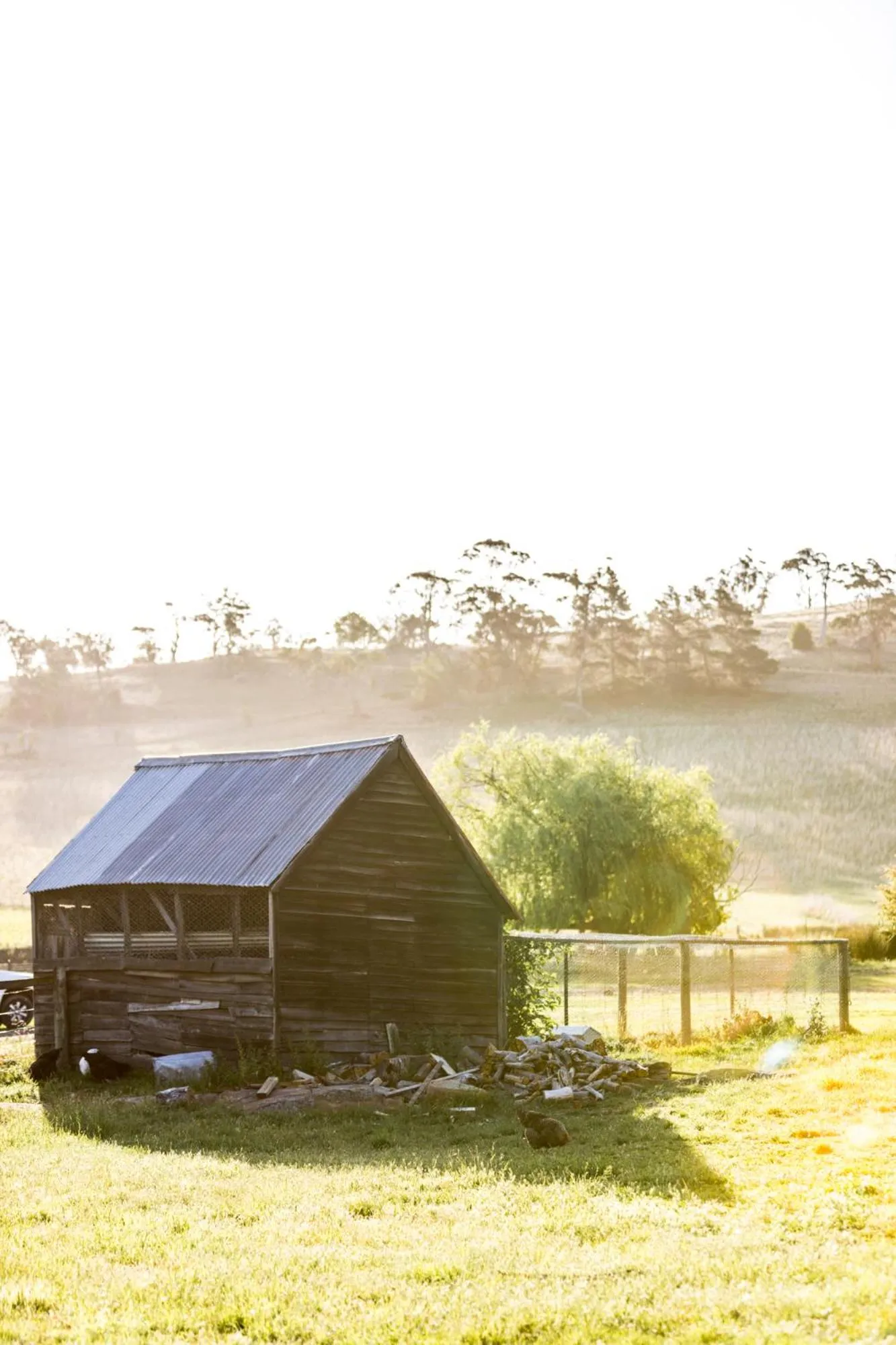 Property building in Daisy Bank Cottages