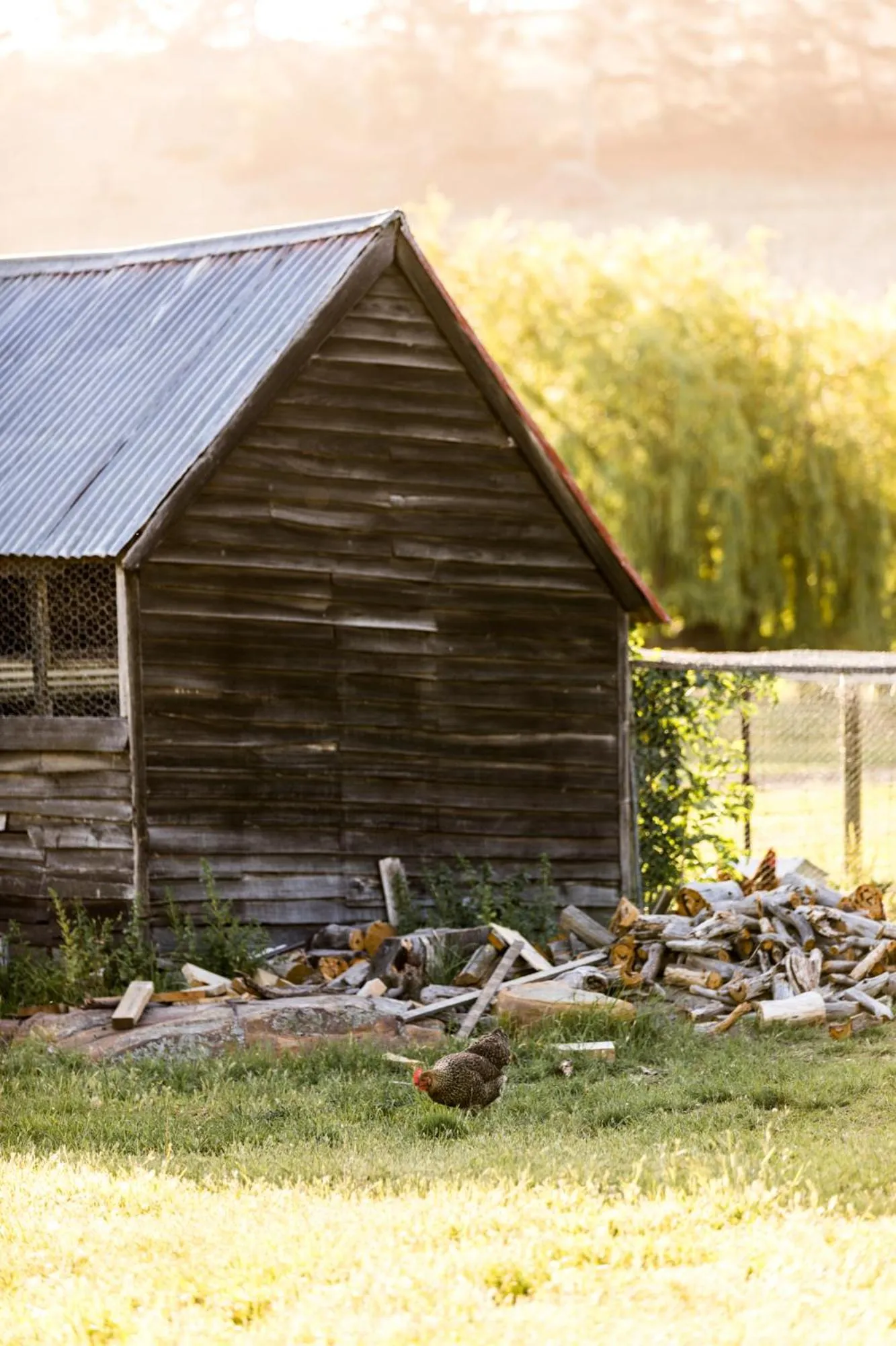 Property building in Daisy Bank Cottages