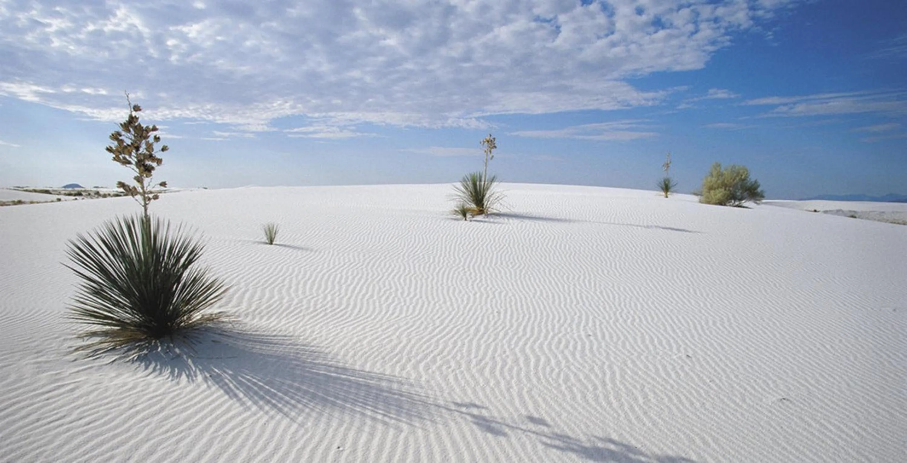 Nearby landmark in Holiday Inn Express Las Cruces North by IHG