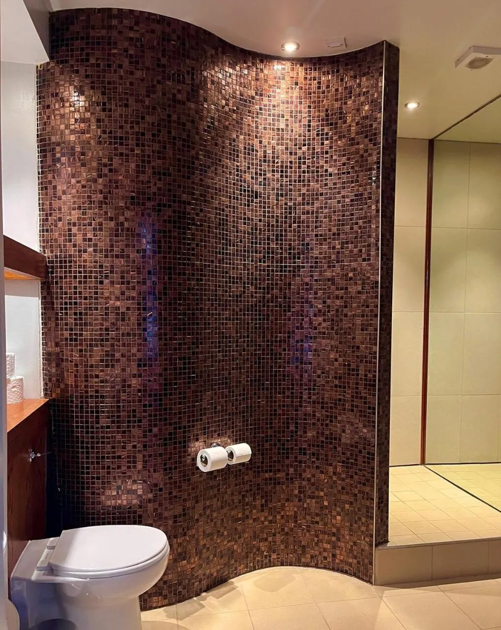 Shower in Lazaat Hotel