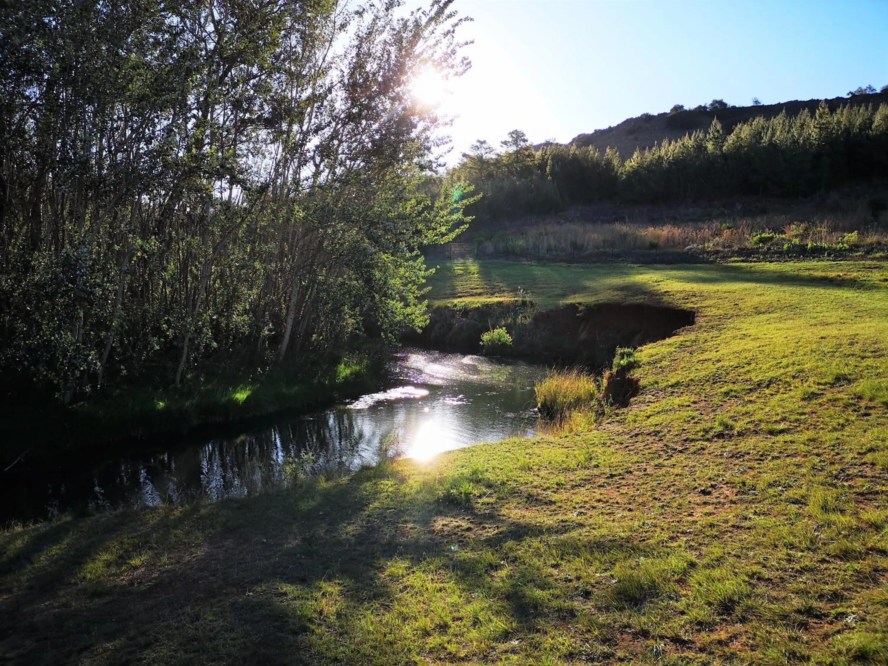 Spring in Stonecutters Lodge