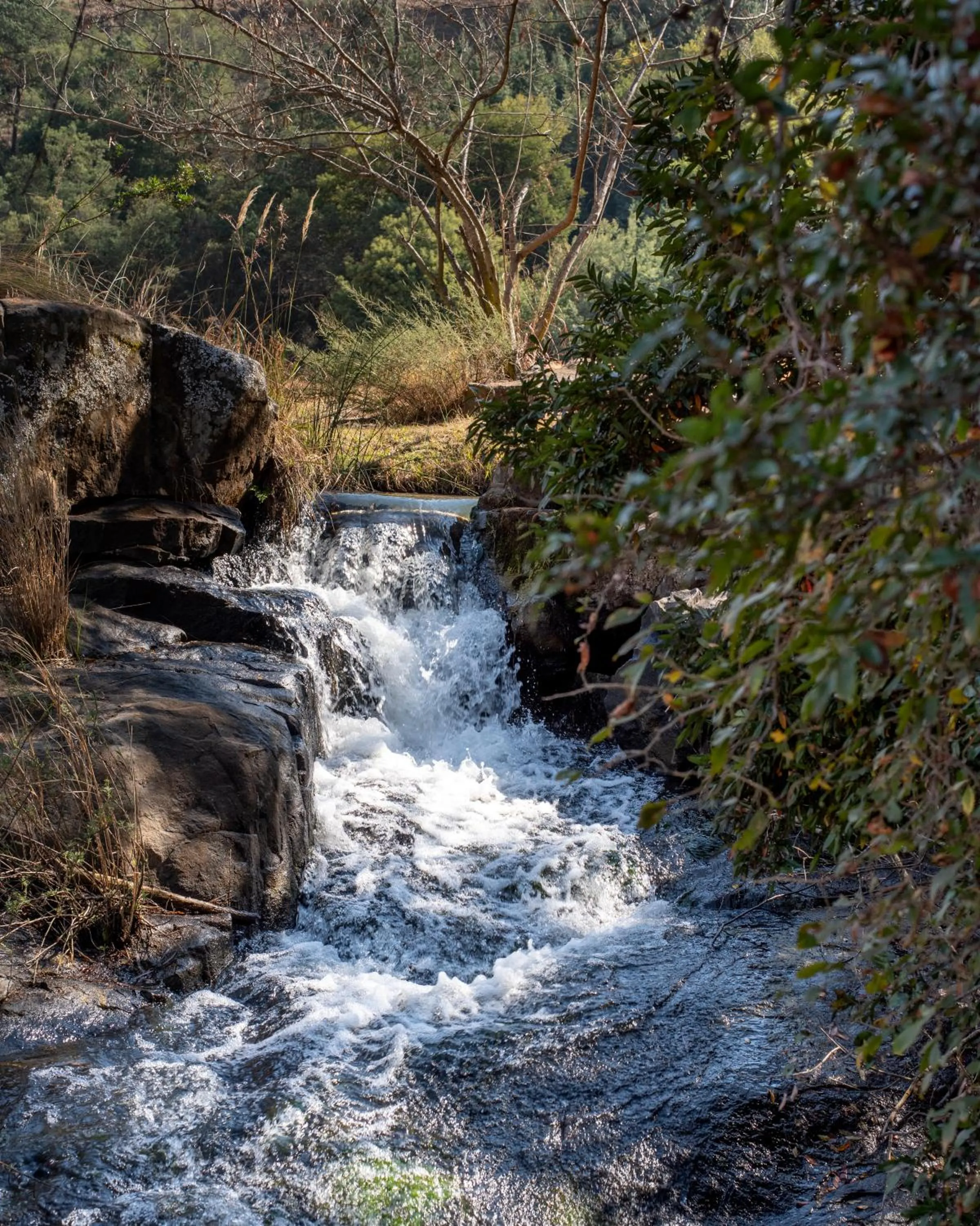 River view in Stonecutters Lodge