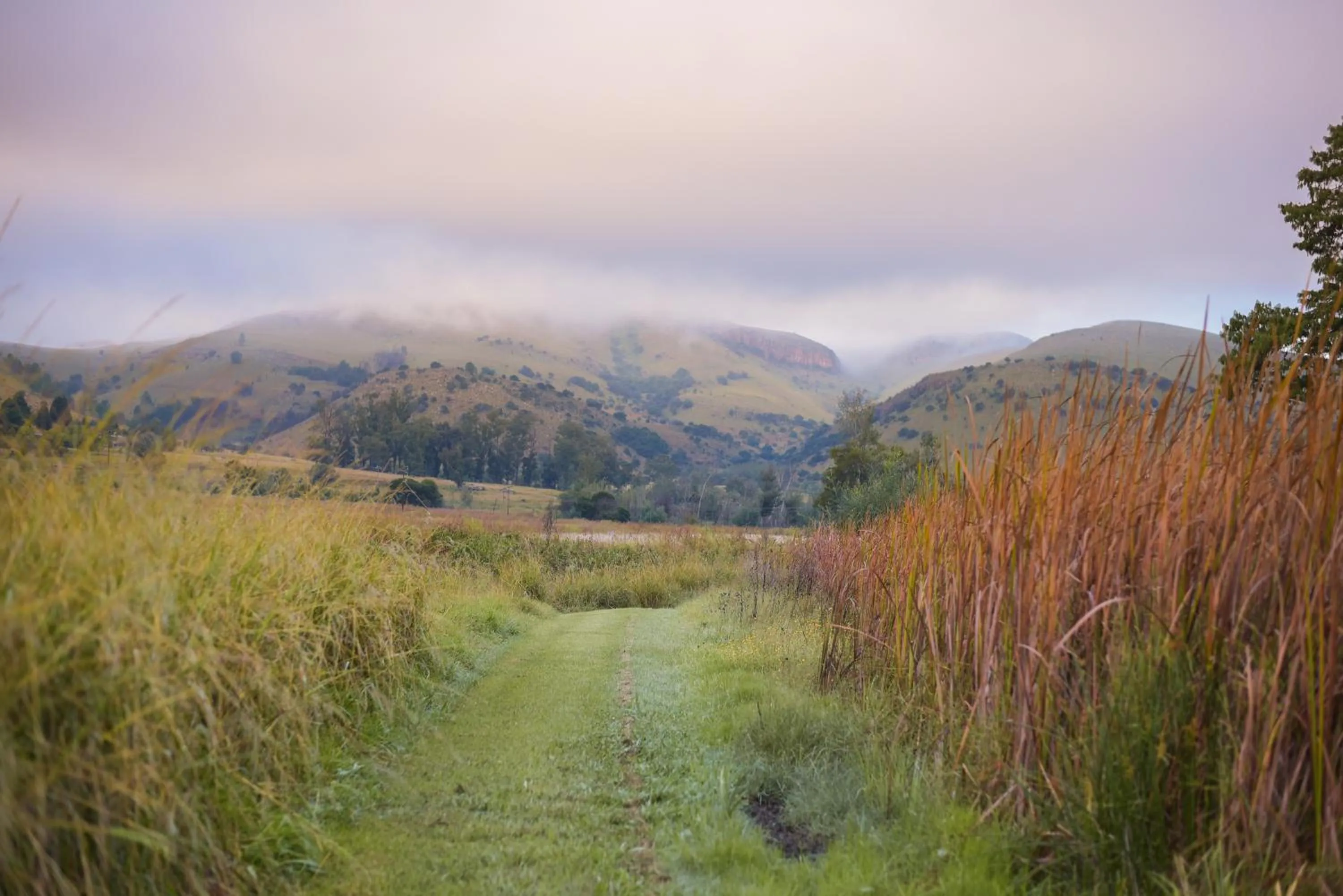Mountain view in Stonecutters Lodge